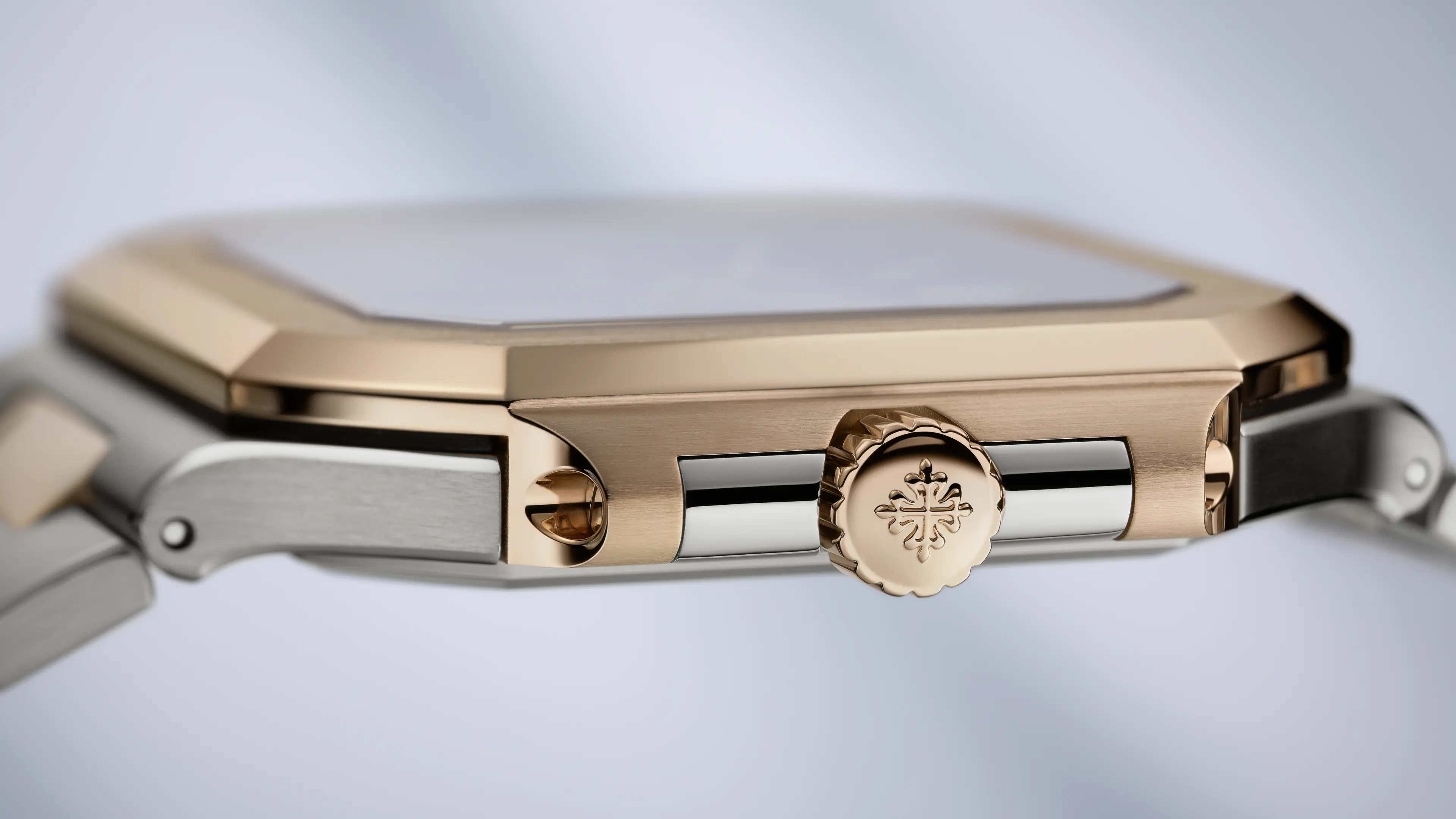 PP_5821_1AR_001_DET_CASE_CROWN_02