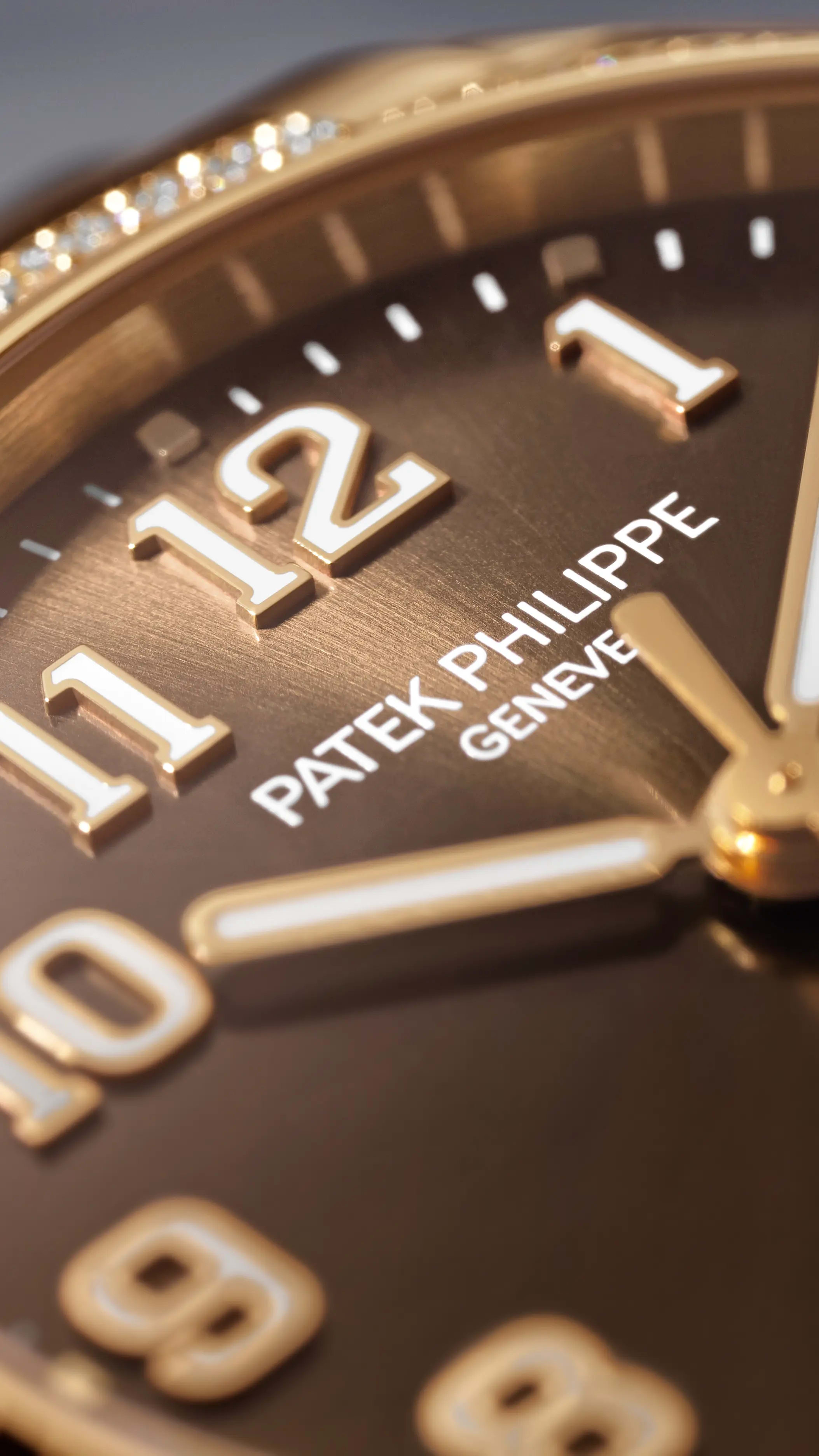 PP_7300_1200R_001_DET_DIAL