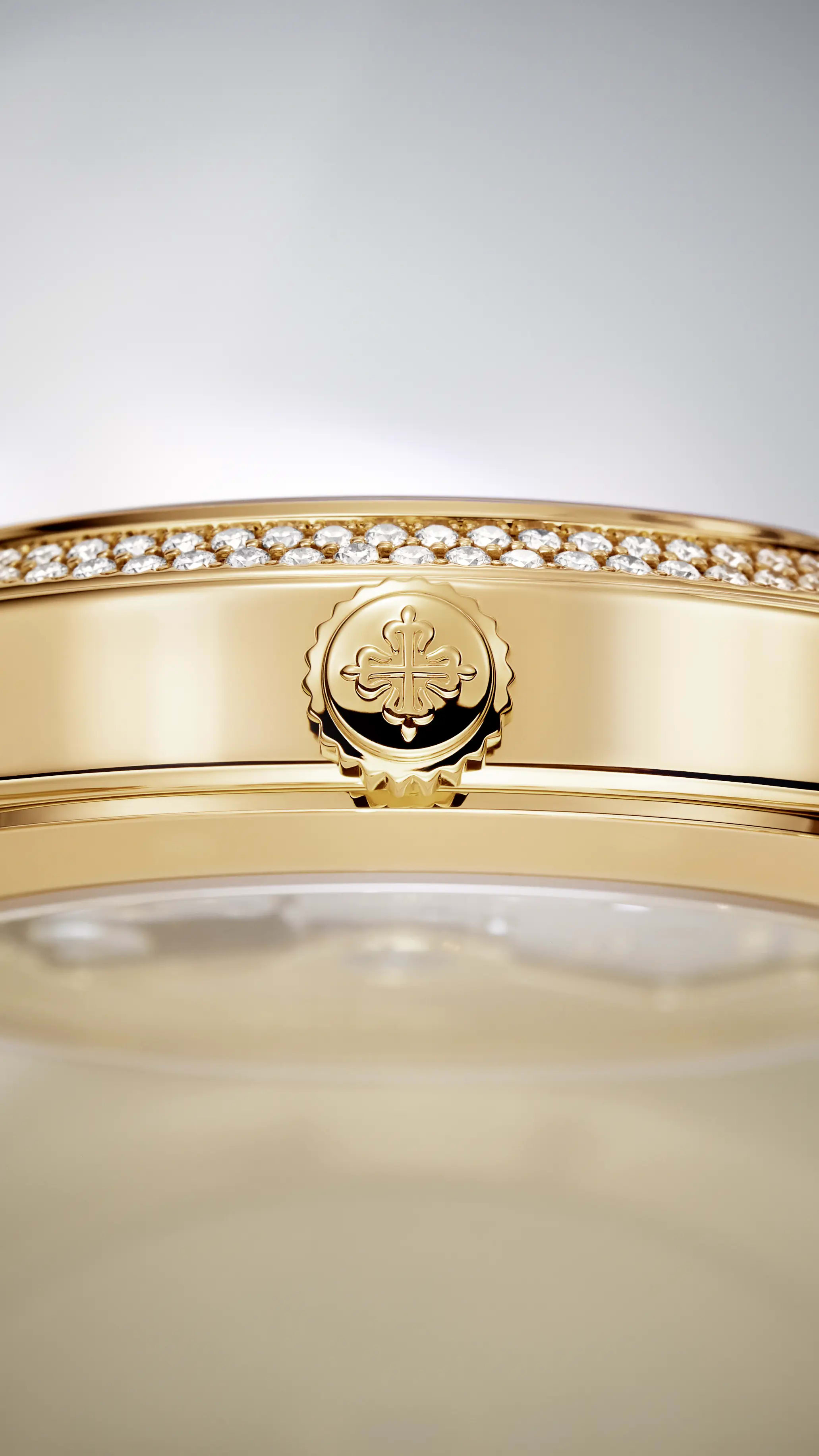 PP-7300_1200R_010_DET_CASE_CROWN