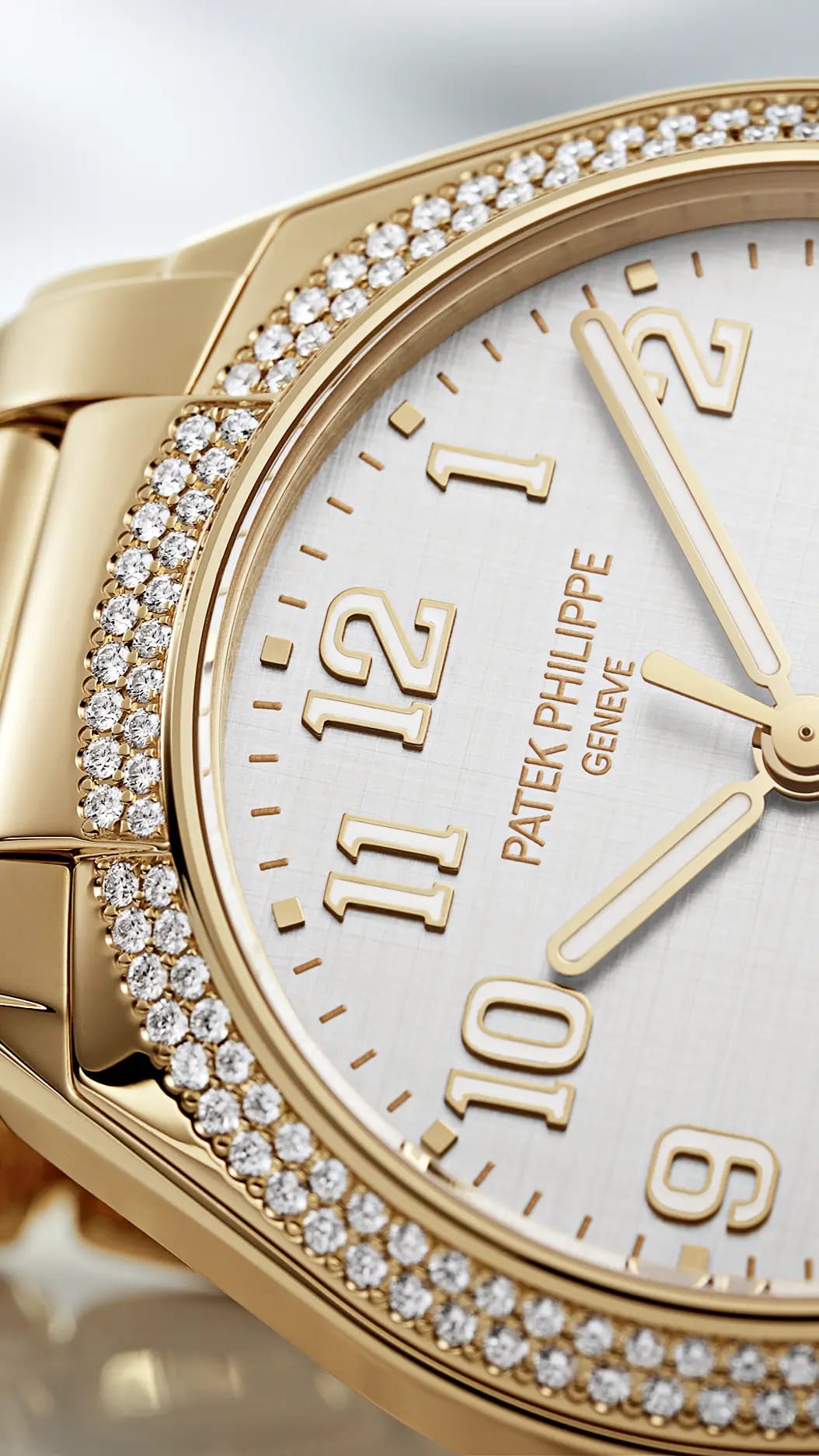 PP_7300_1200R_010_DET_CASE_DIAL