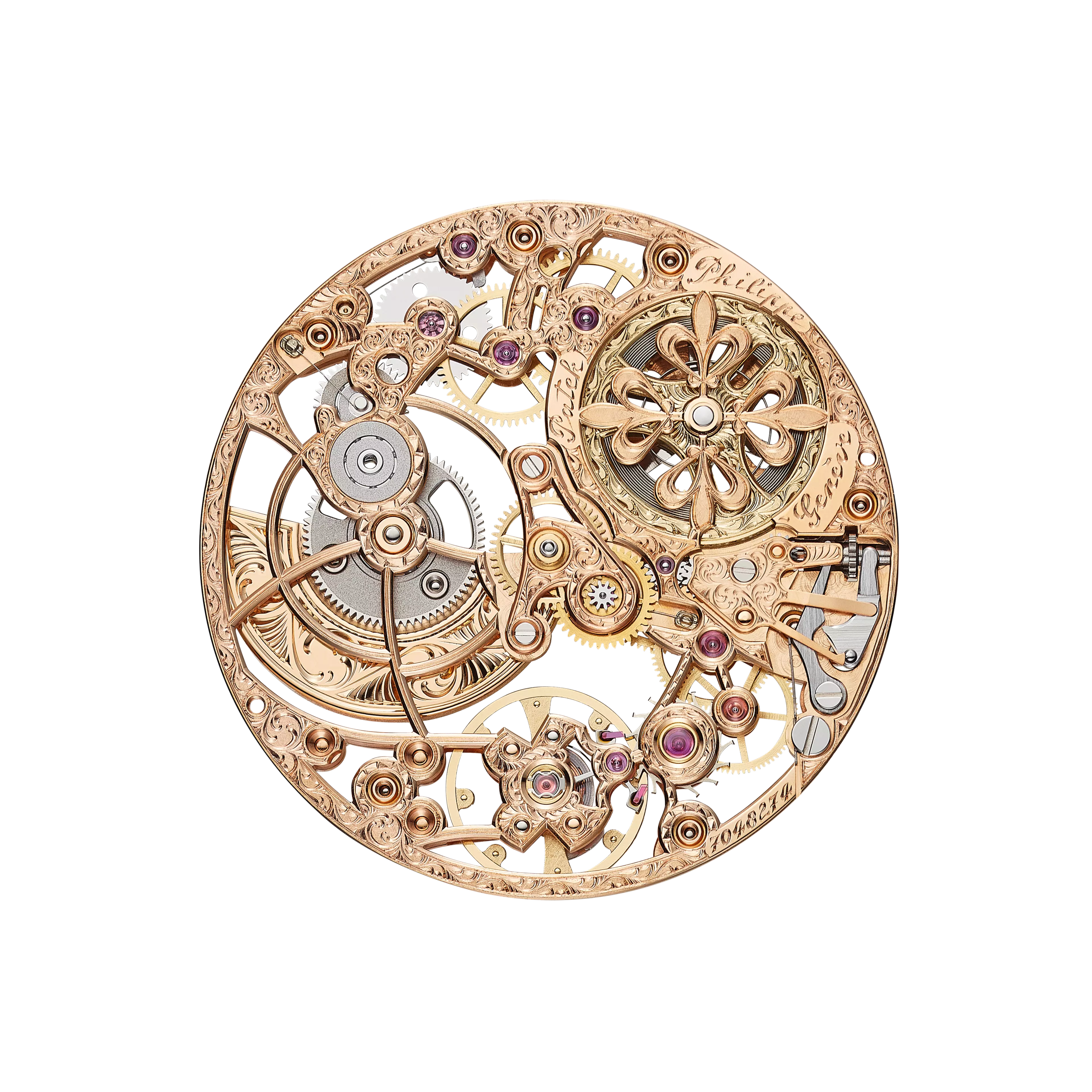 PP_240_SQU_179_1B_PP_RECTO