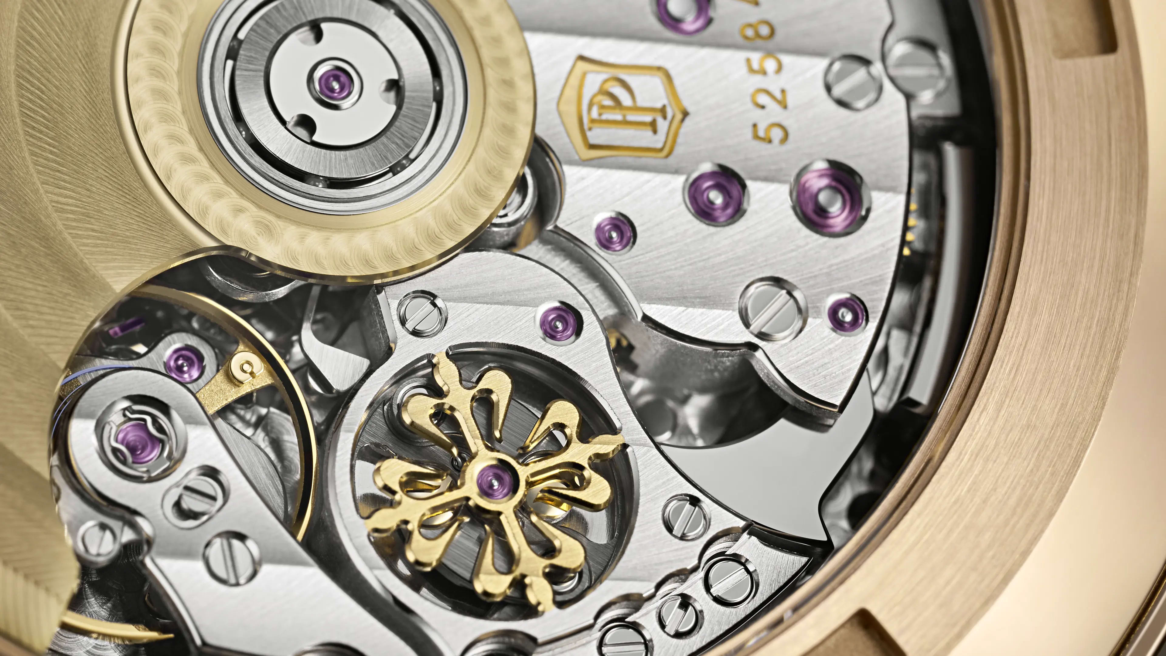 PP_5520RG_001_DET_MOVEMENT_19