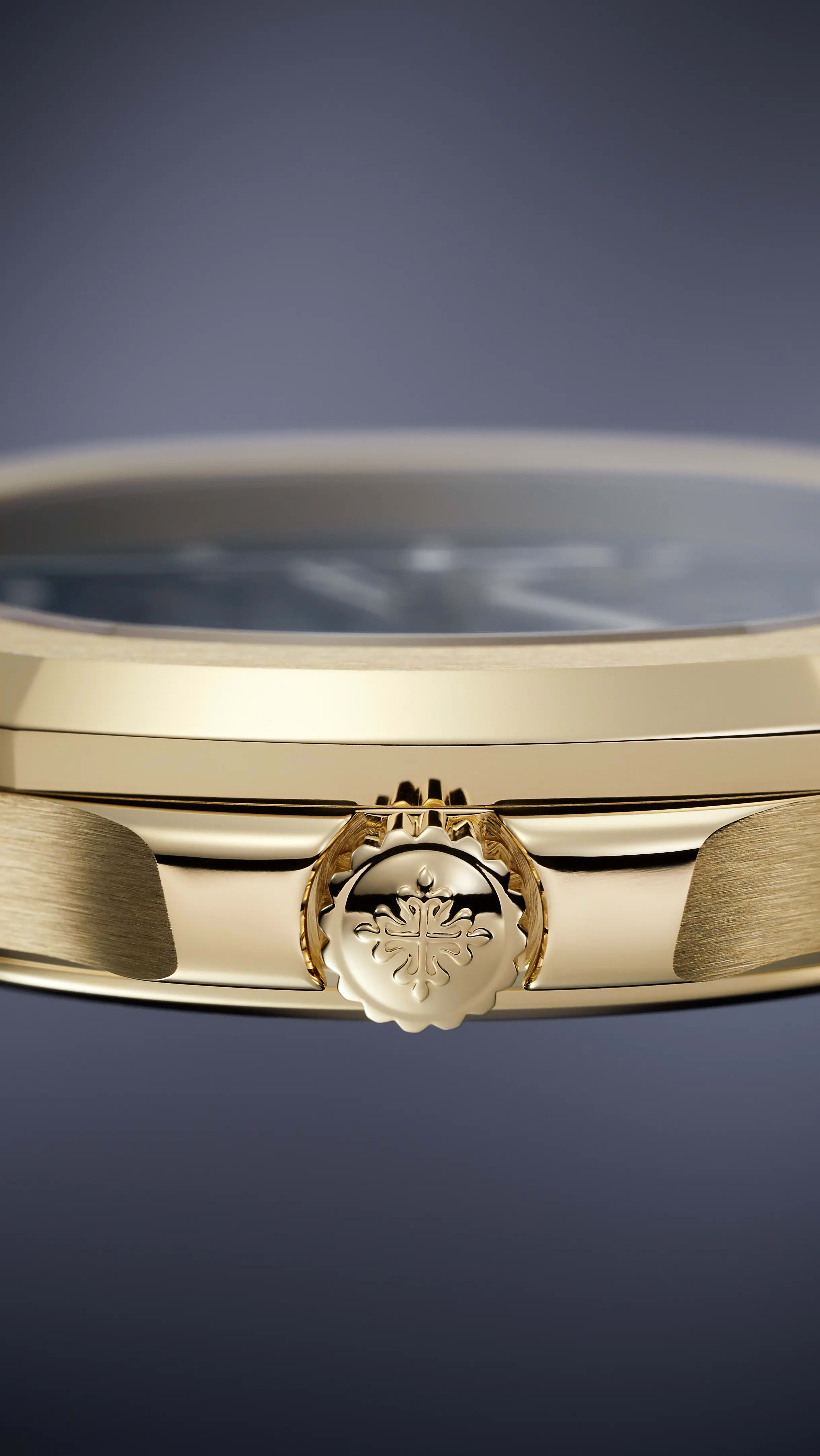 PP_5269R_001_DET_CASE_CROWN_20