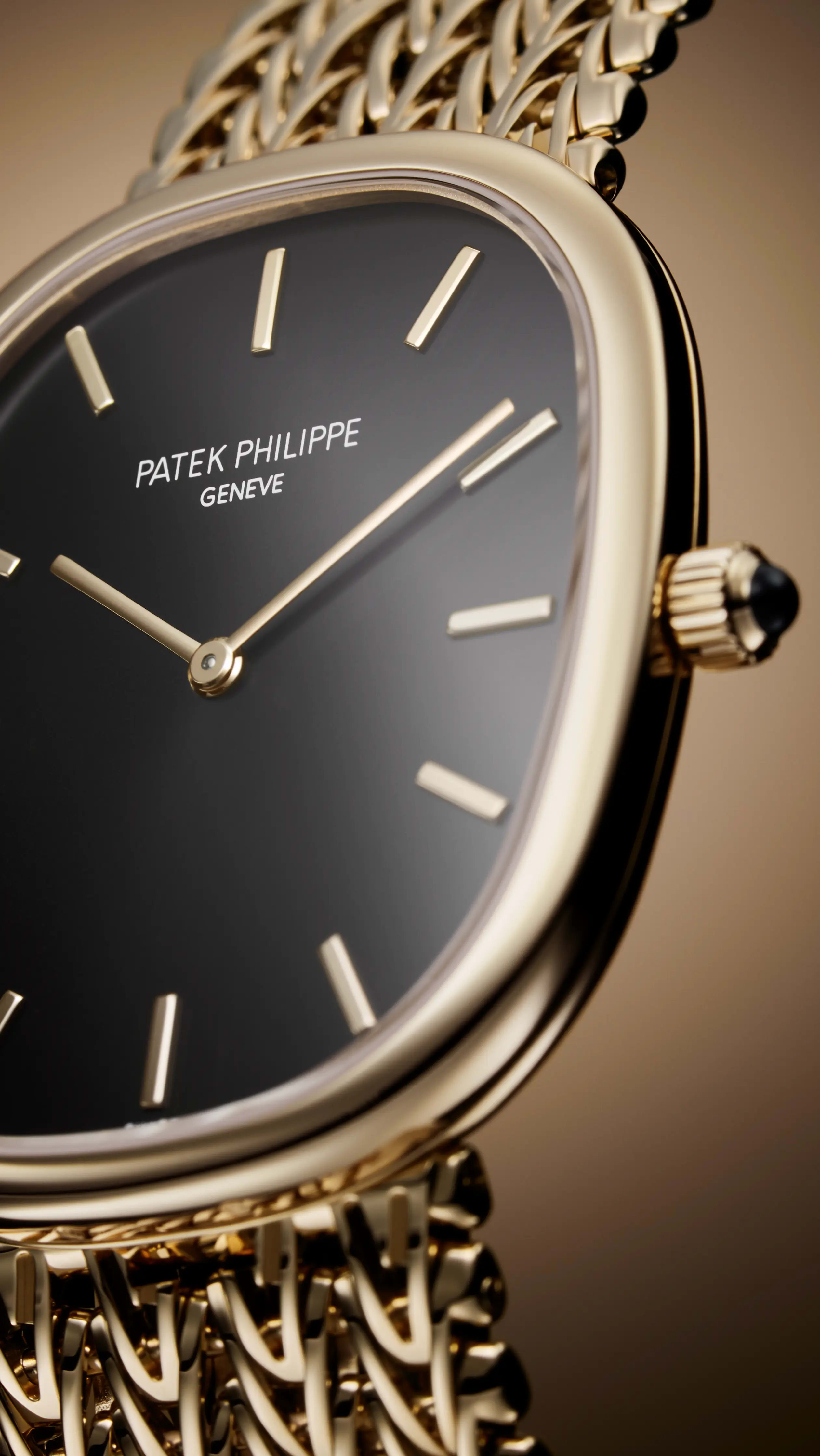 PP_5738_1R_001_DET_CASE_DIAL_51
