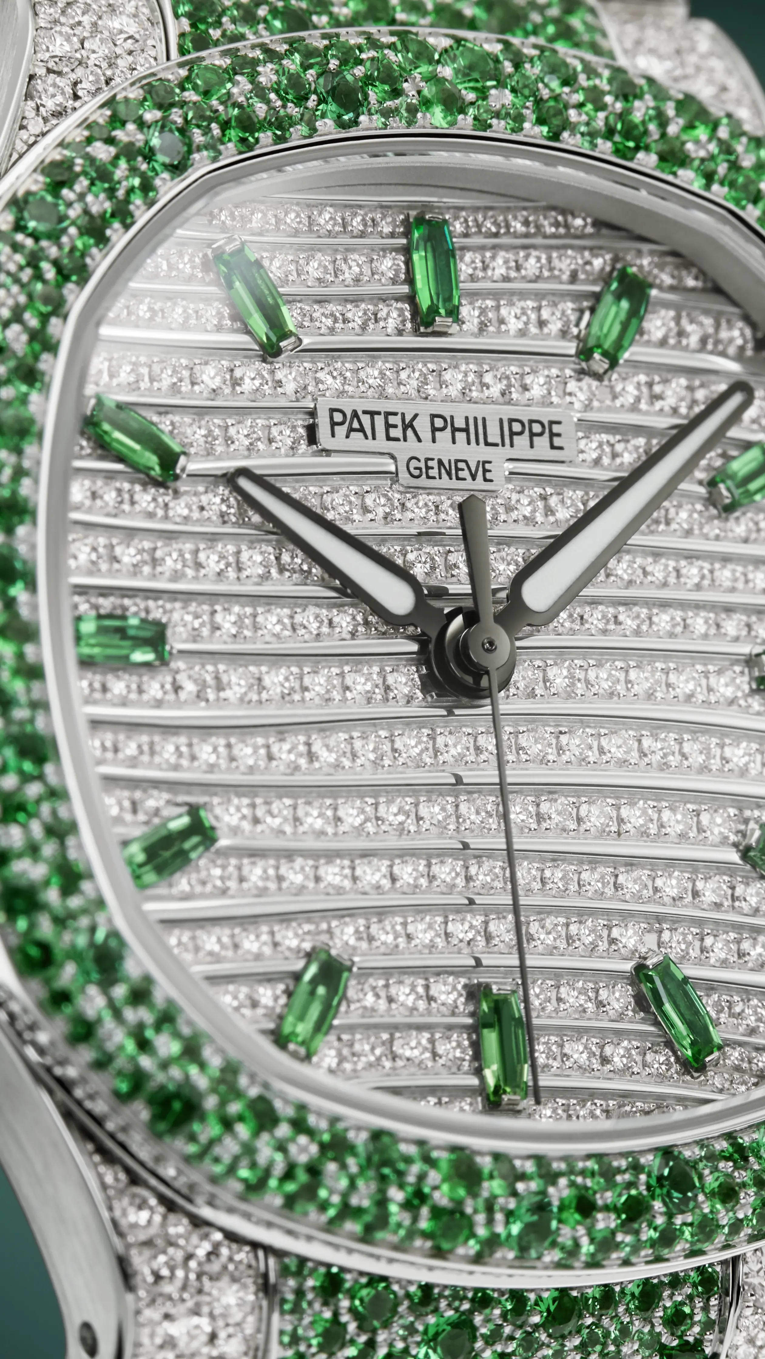 PP_7118_1453G_001_DET_CASE_DIAL_72