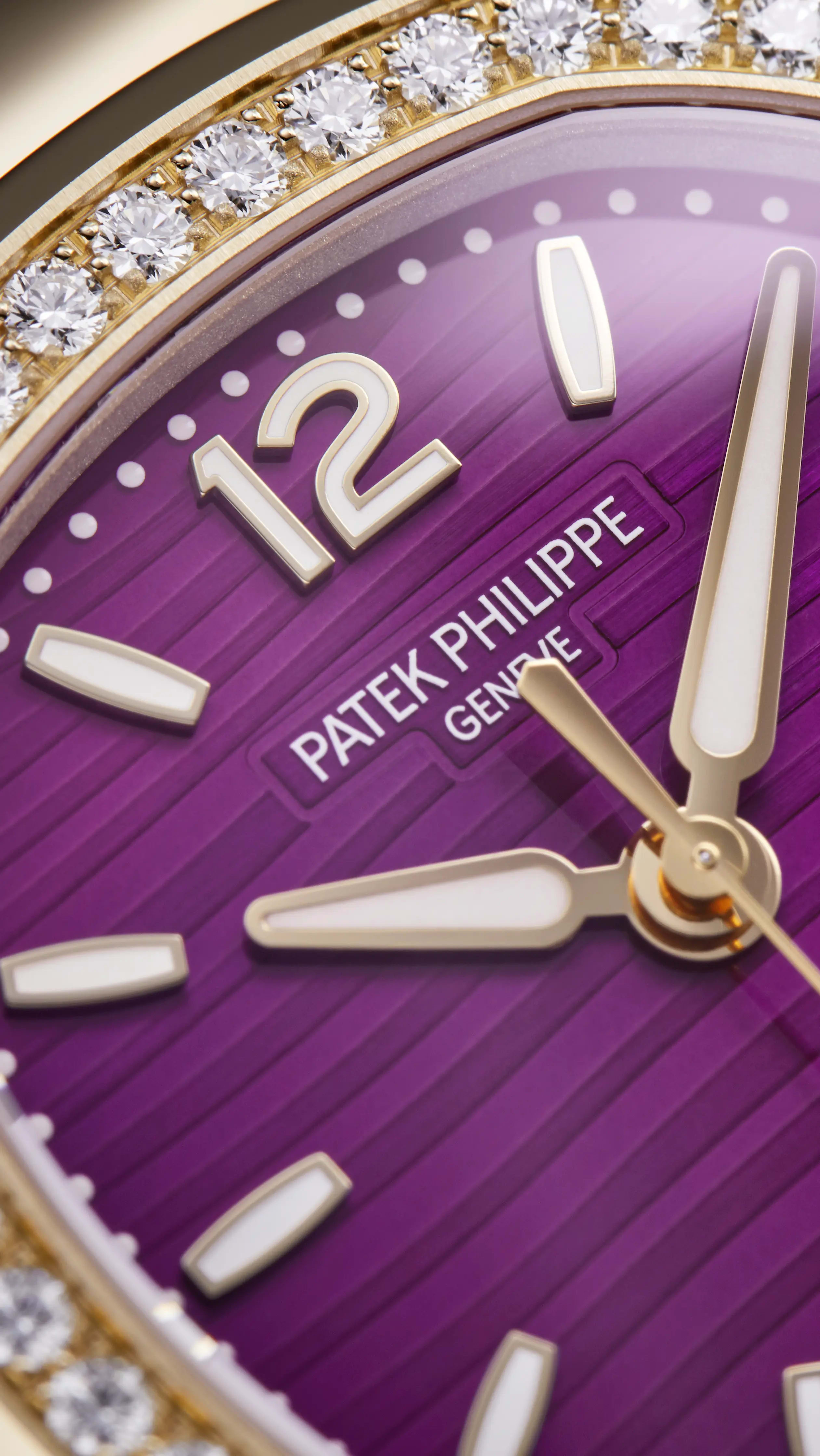 PP_7010_1R_013_DET_DIAL_CASE_30