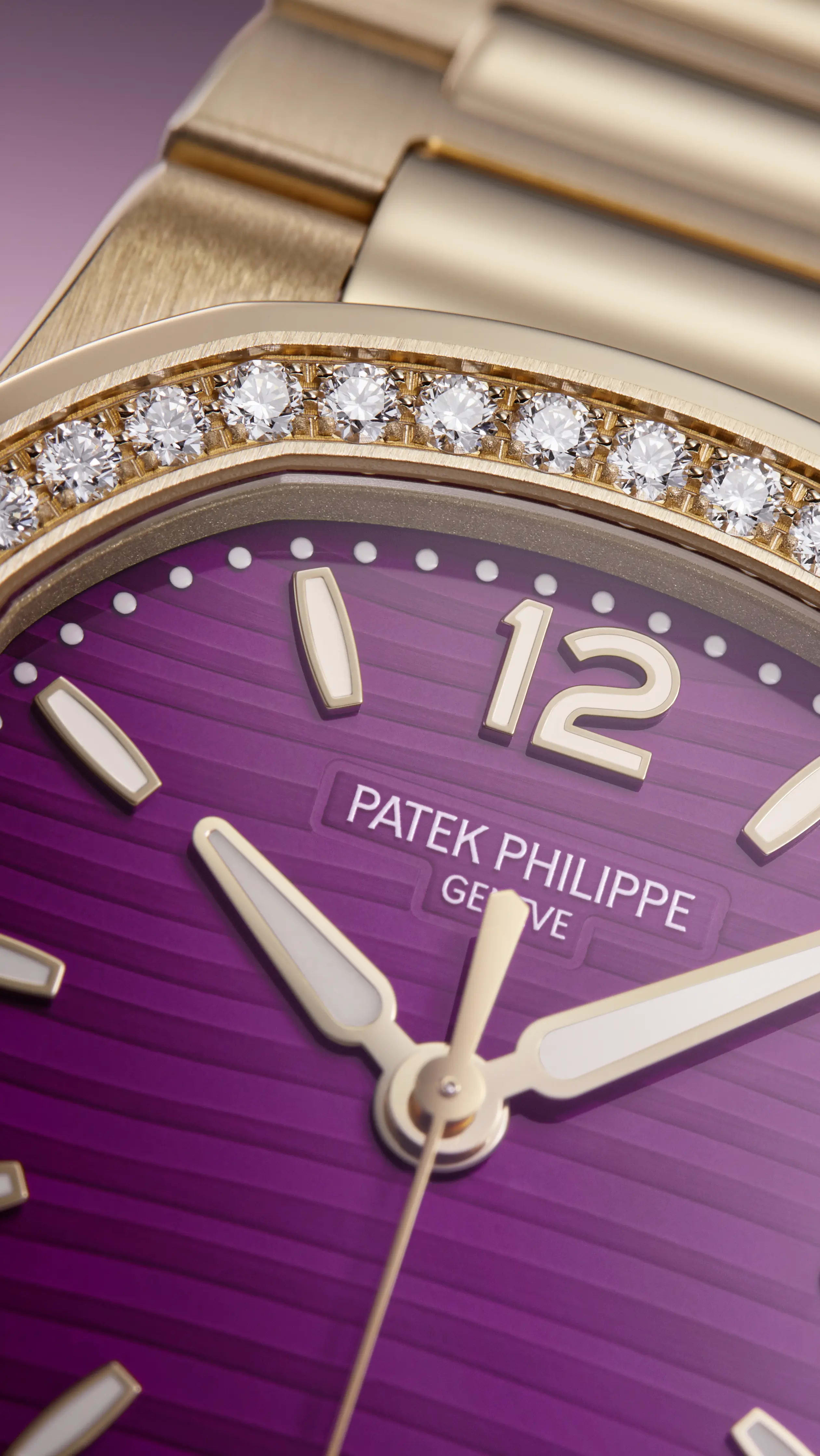 PP_7010_1R_013_DET_CASE_DIAL_12