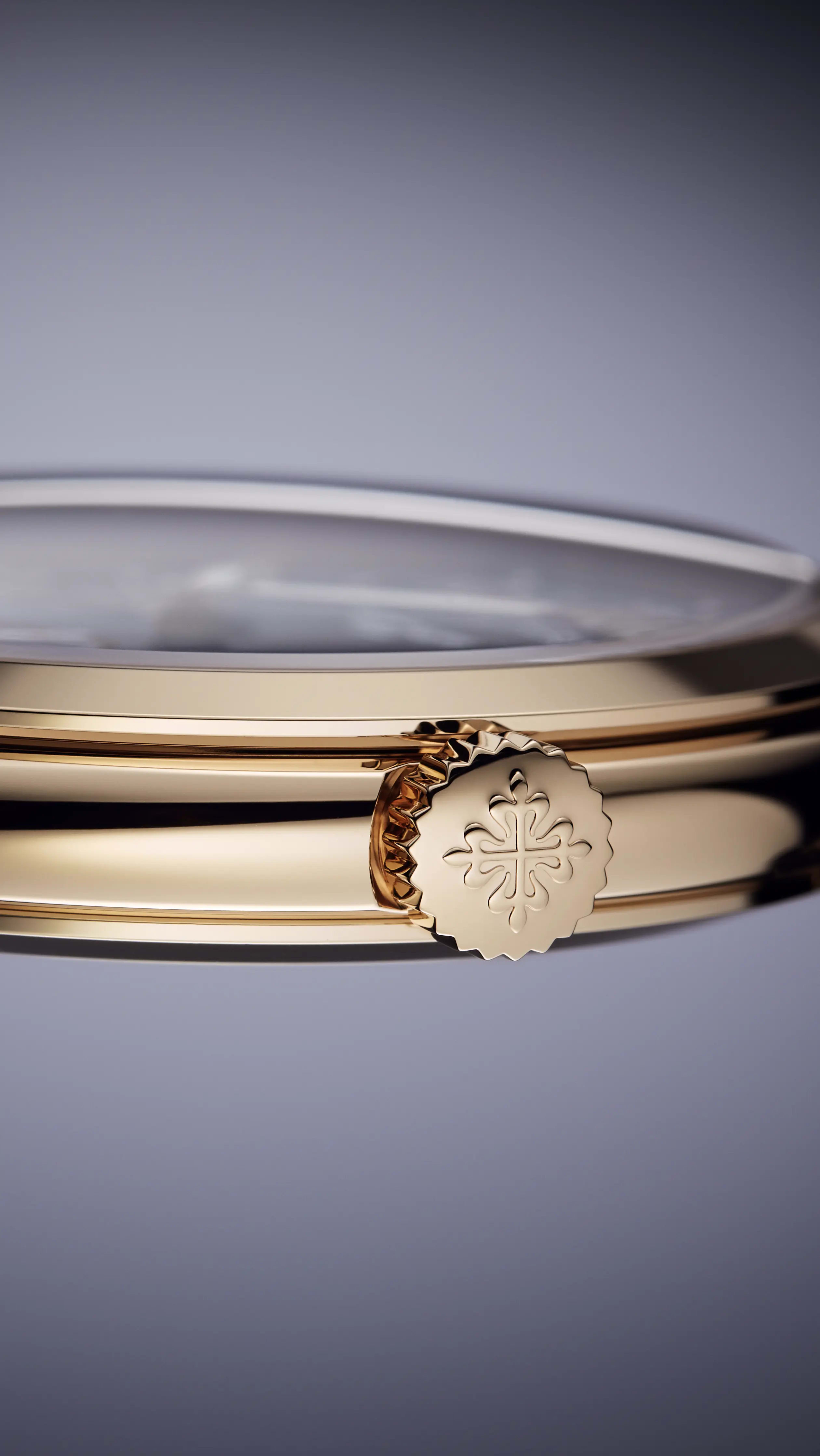 PP_5224R_001_DET_CASE_CROWN_34
