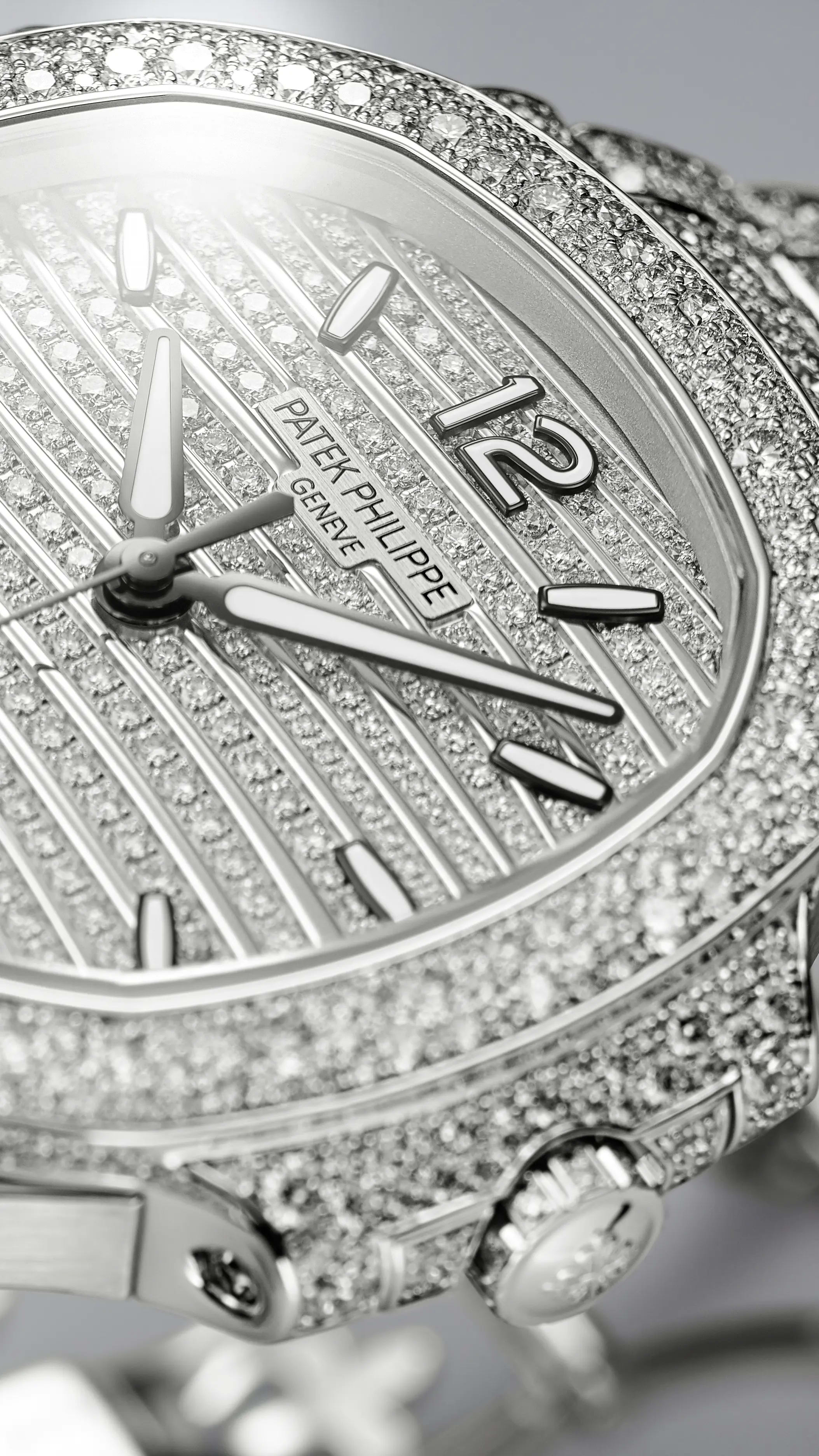 PP_7118_1450G_001_DET_CASE_DIAL_29