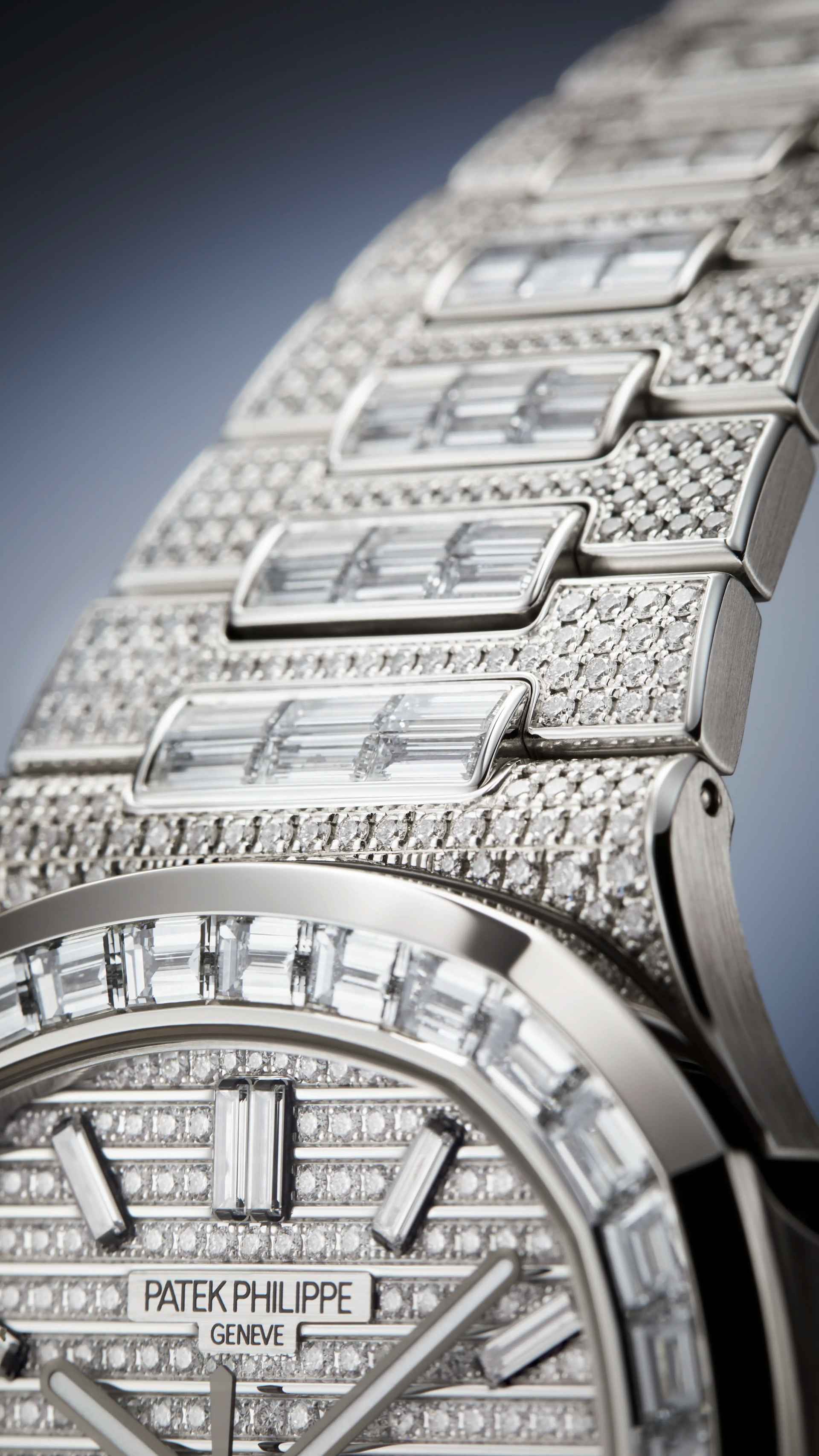 PP_5811_1460G_001_DET_BRACELET_CASE_01