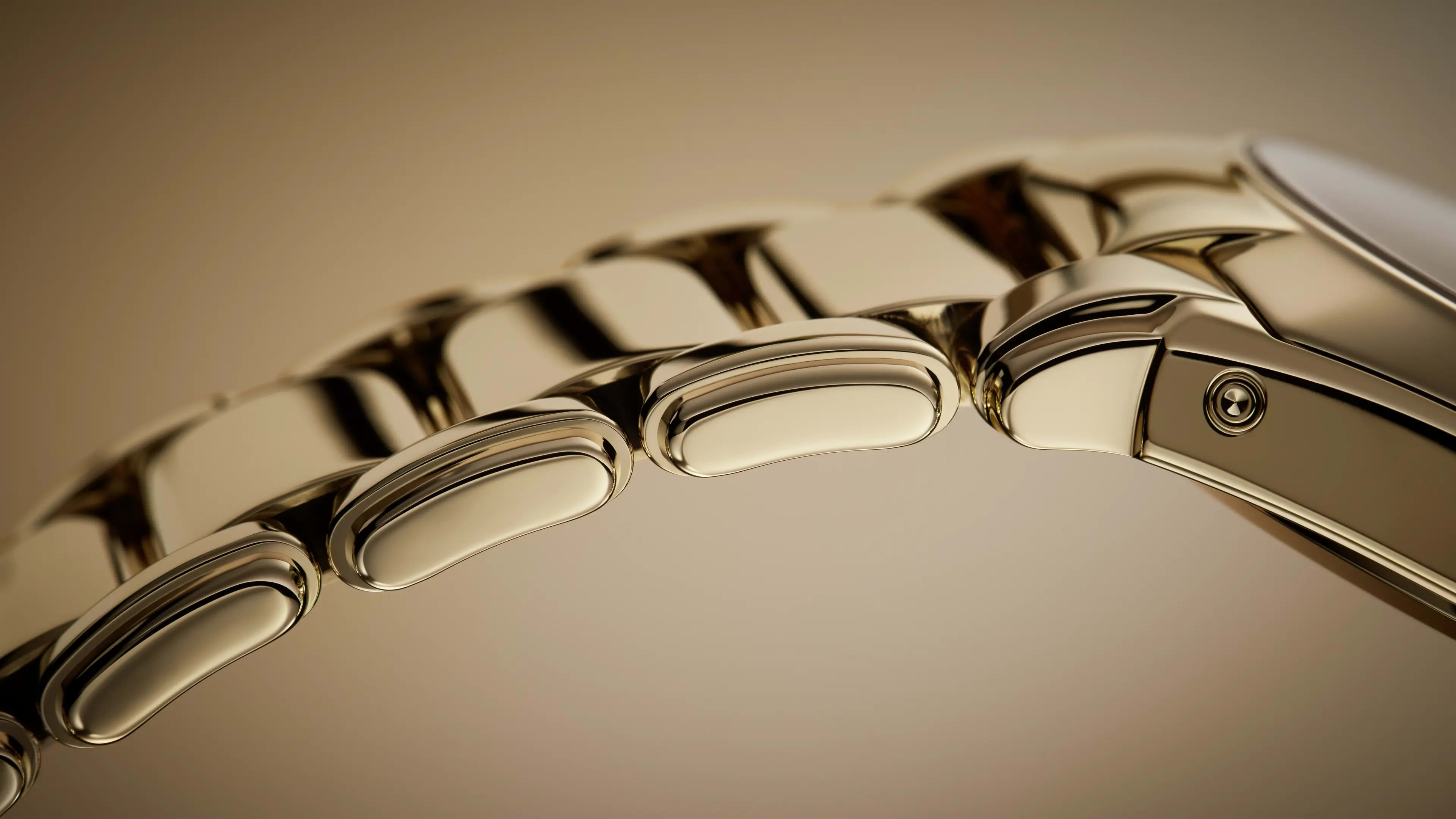 PP_7340_1R_010_DET_BRACELET_CASE_02
