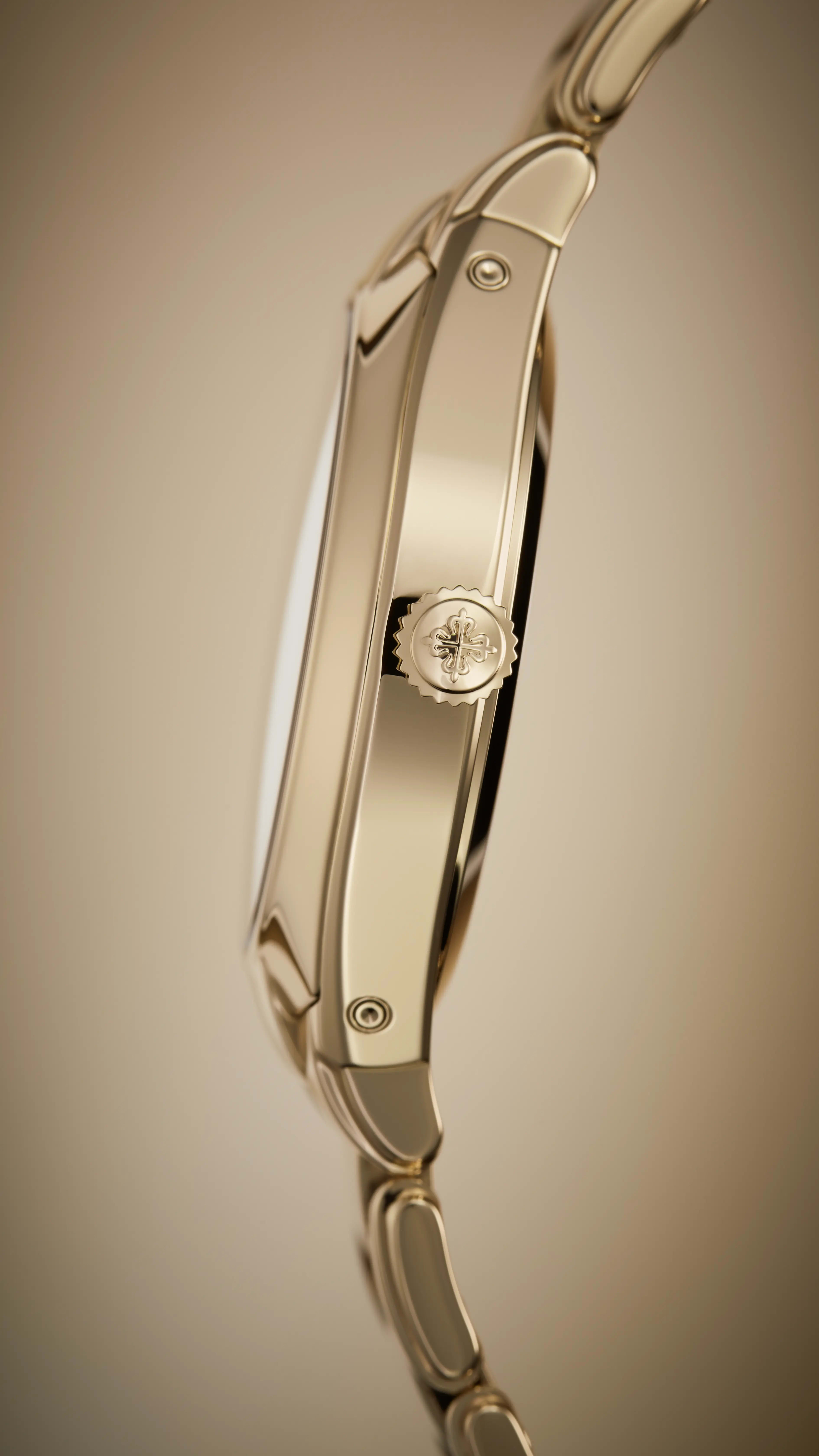 PP_7340_1R_010_DET_CASE_CROWN_01