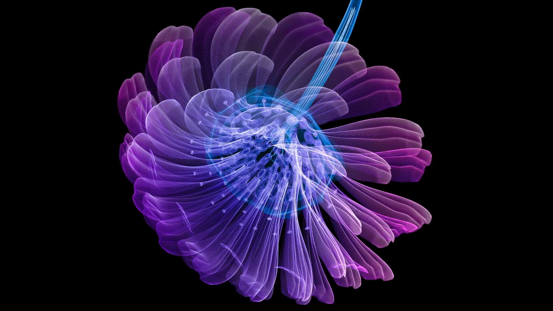 PPM_V3_N11_Inorganic_Flora_thumbnail