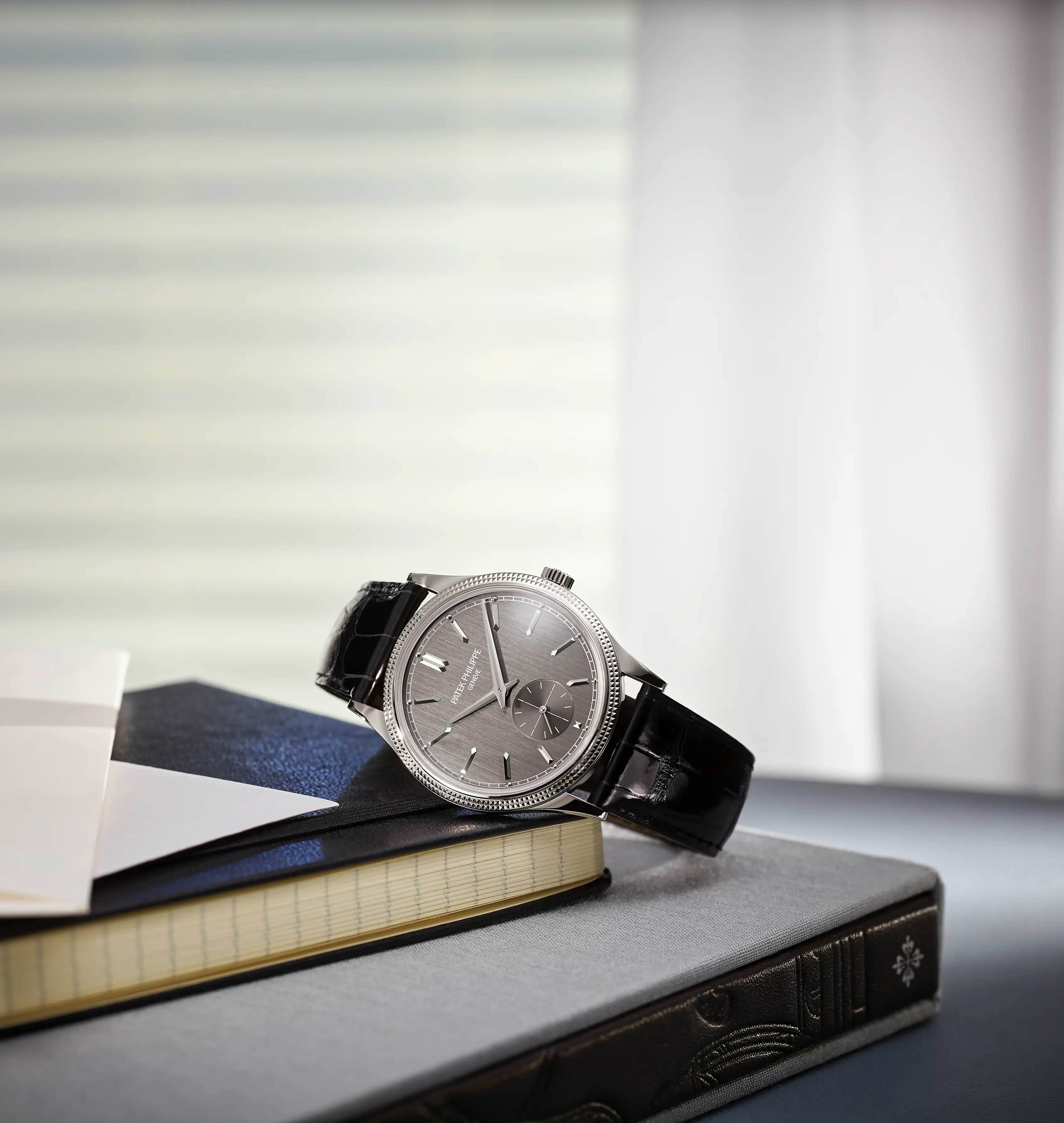 パテック フィリップ PATEK PHILIPPE レザートレイ プレート パテック フィリップの時計のお手入れ | Patek Philippe