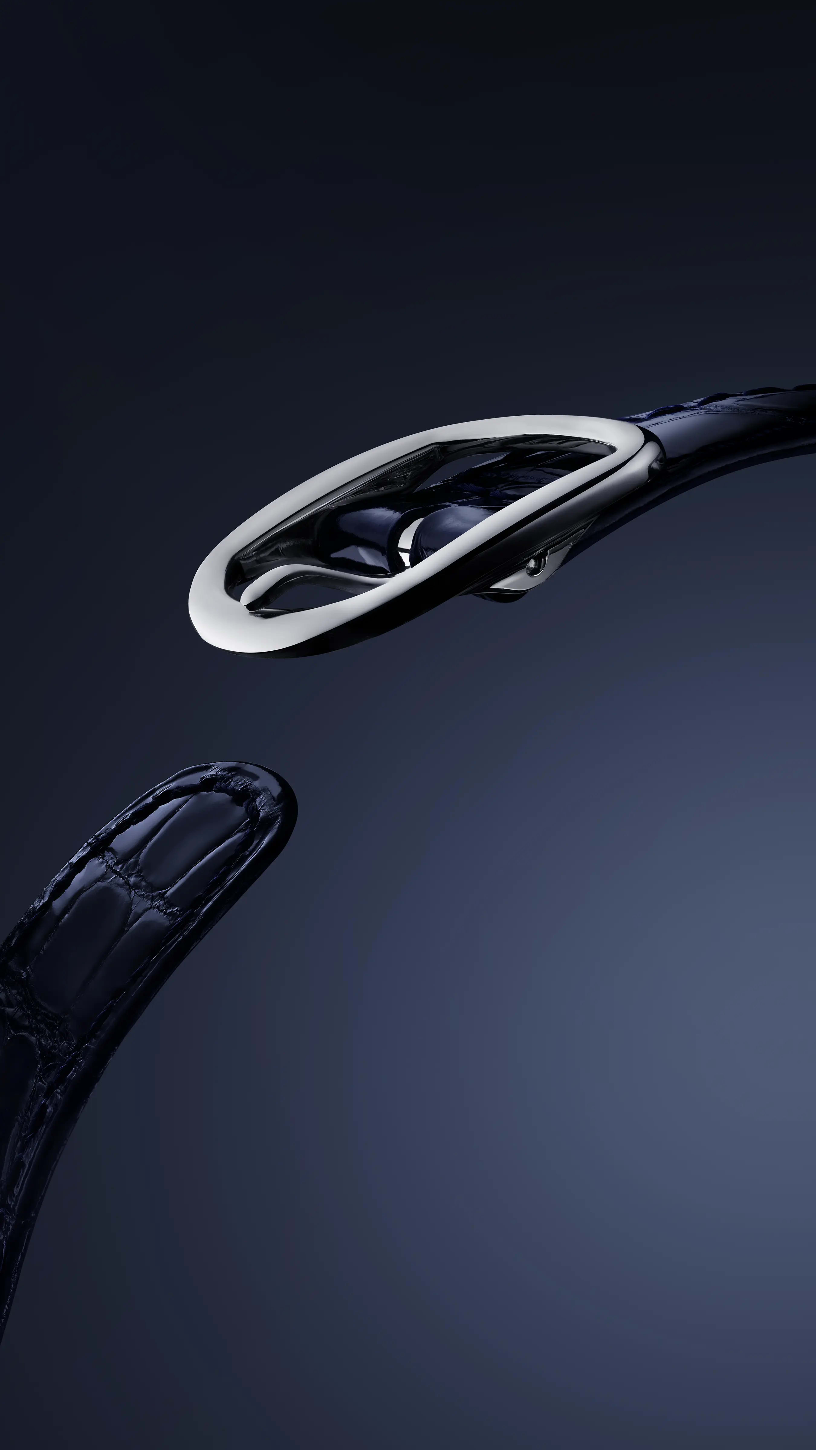 PP_5738P_001_DET_BRACELET_01