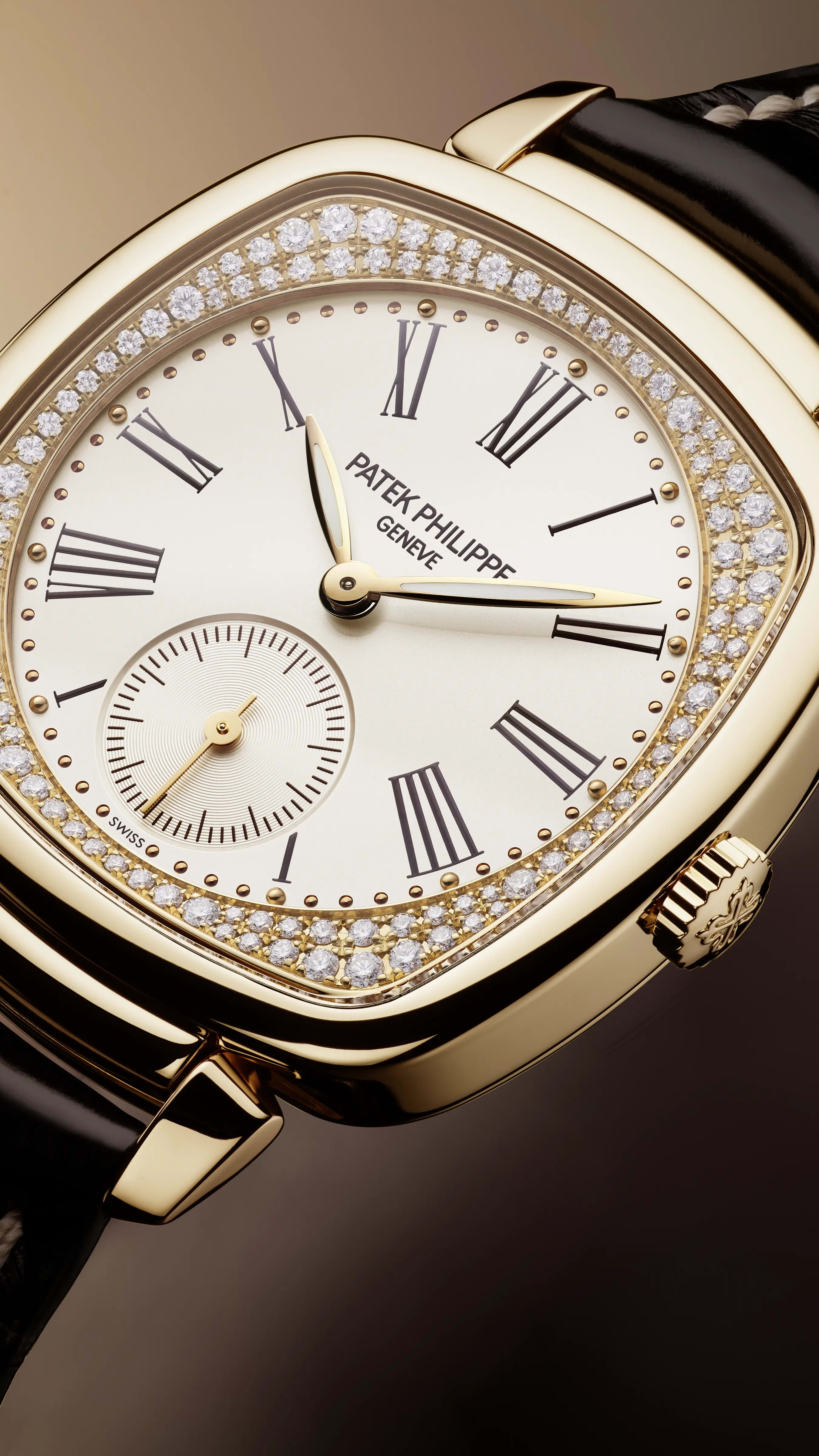 PP_7041R_001_DET_CASE_DIAL_01