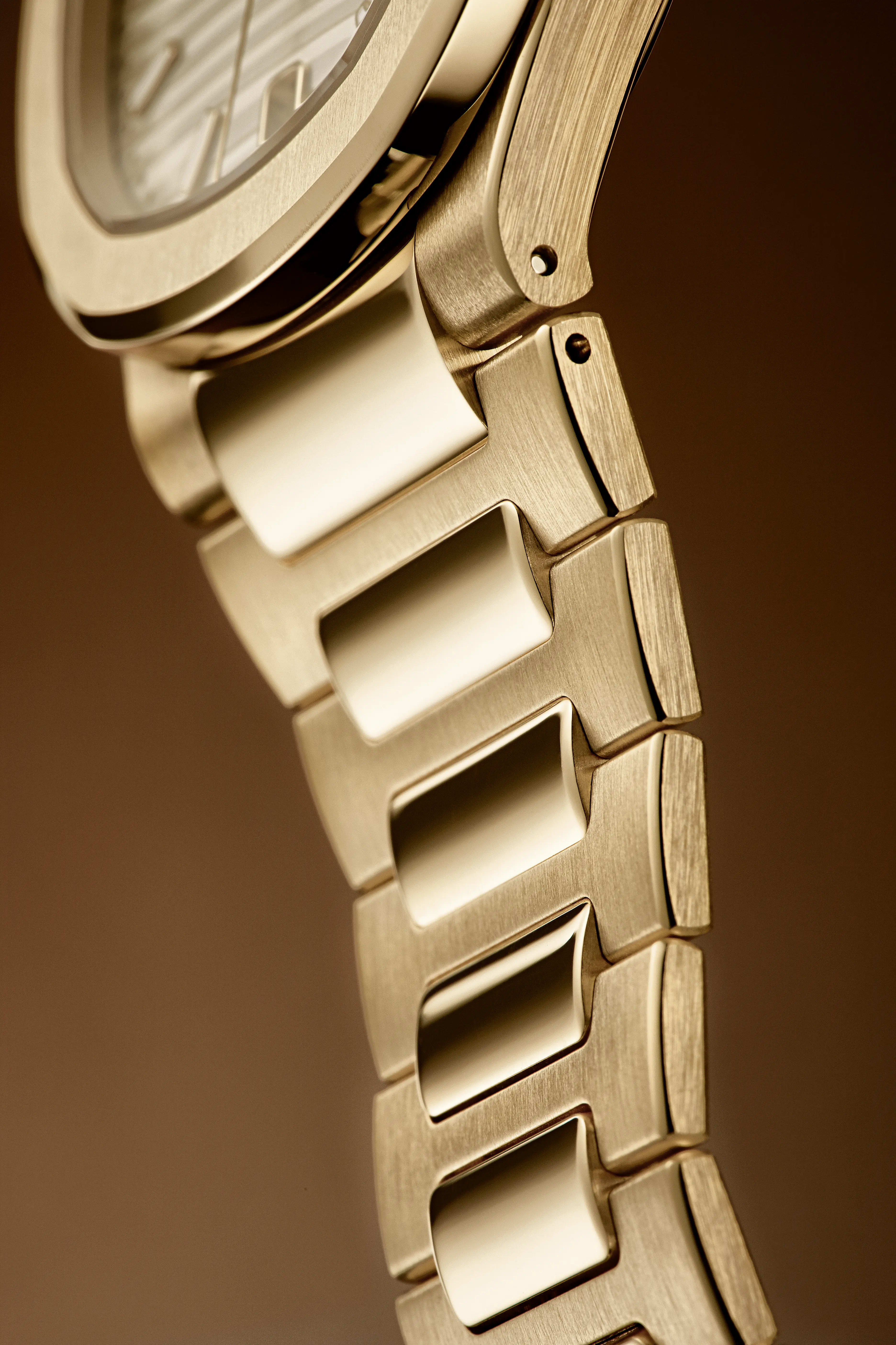 PP_7118_1R_001_DET_BRACELET_01_rotation