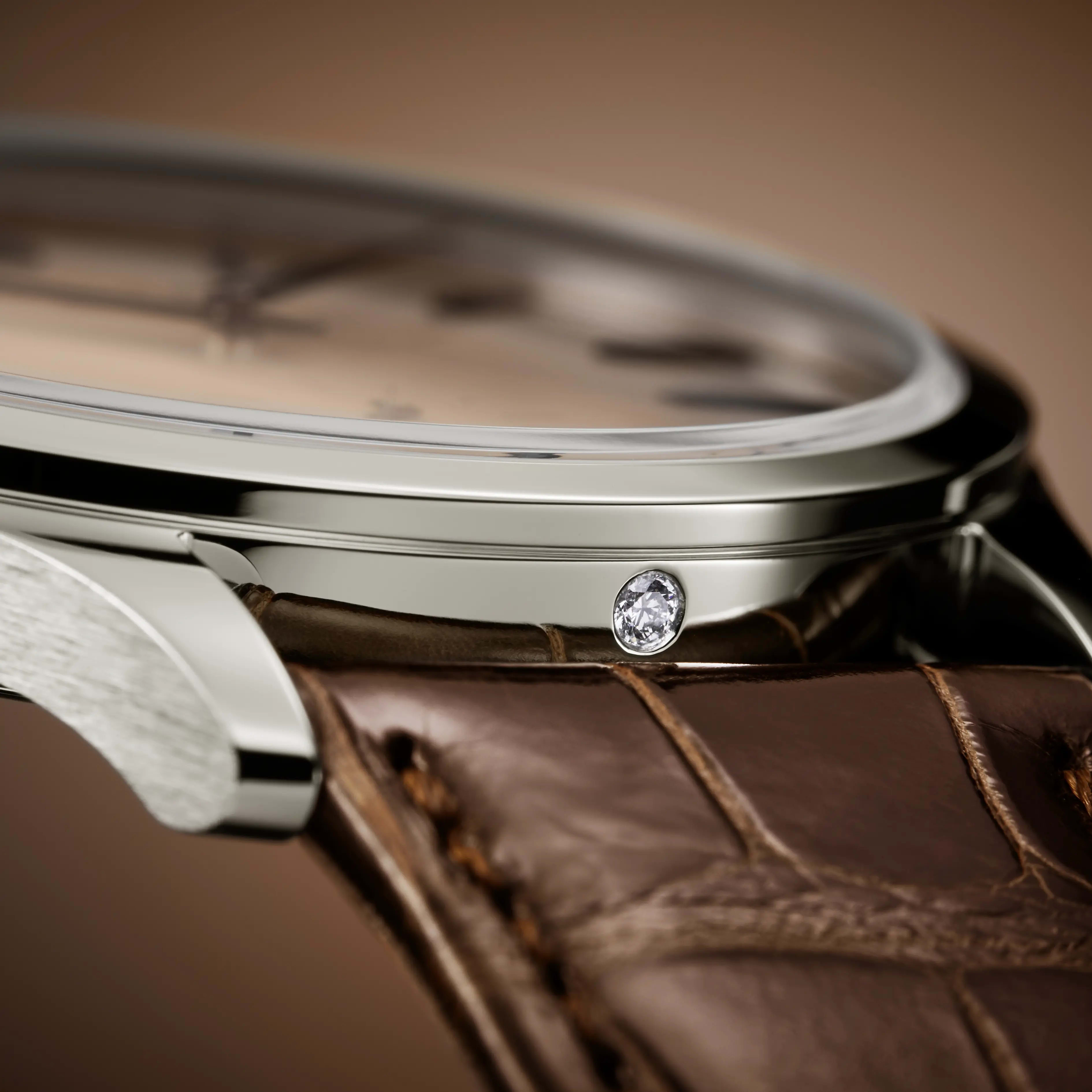 PP_6196P_001_DET_BRACELET_CASE_02