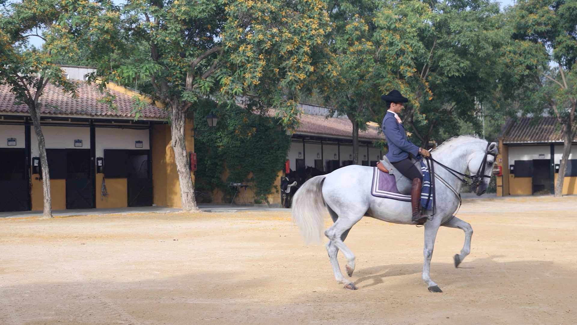 PPM_V5_N7_Carthusian_Horses_thumbnail