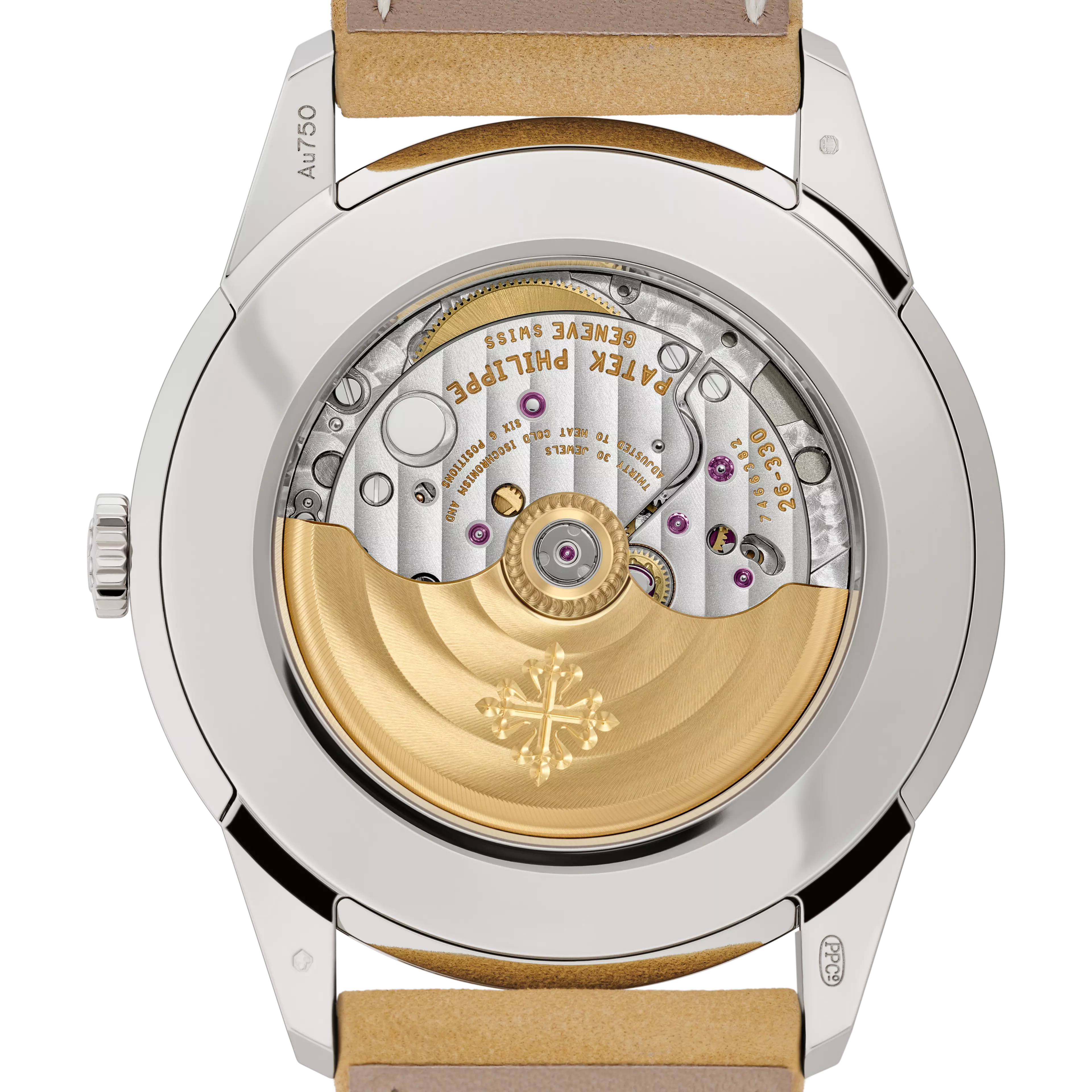 PP_5226G_001_DOS_BRAC1