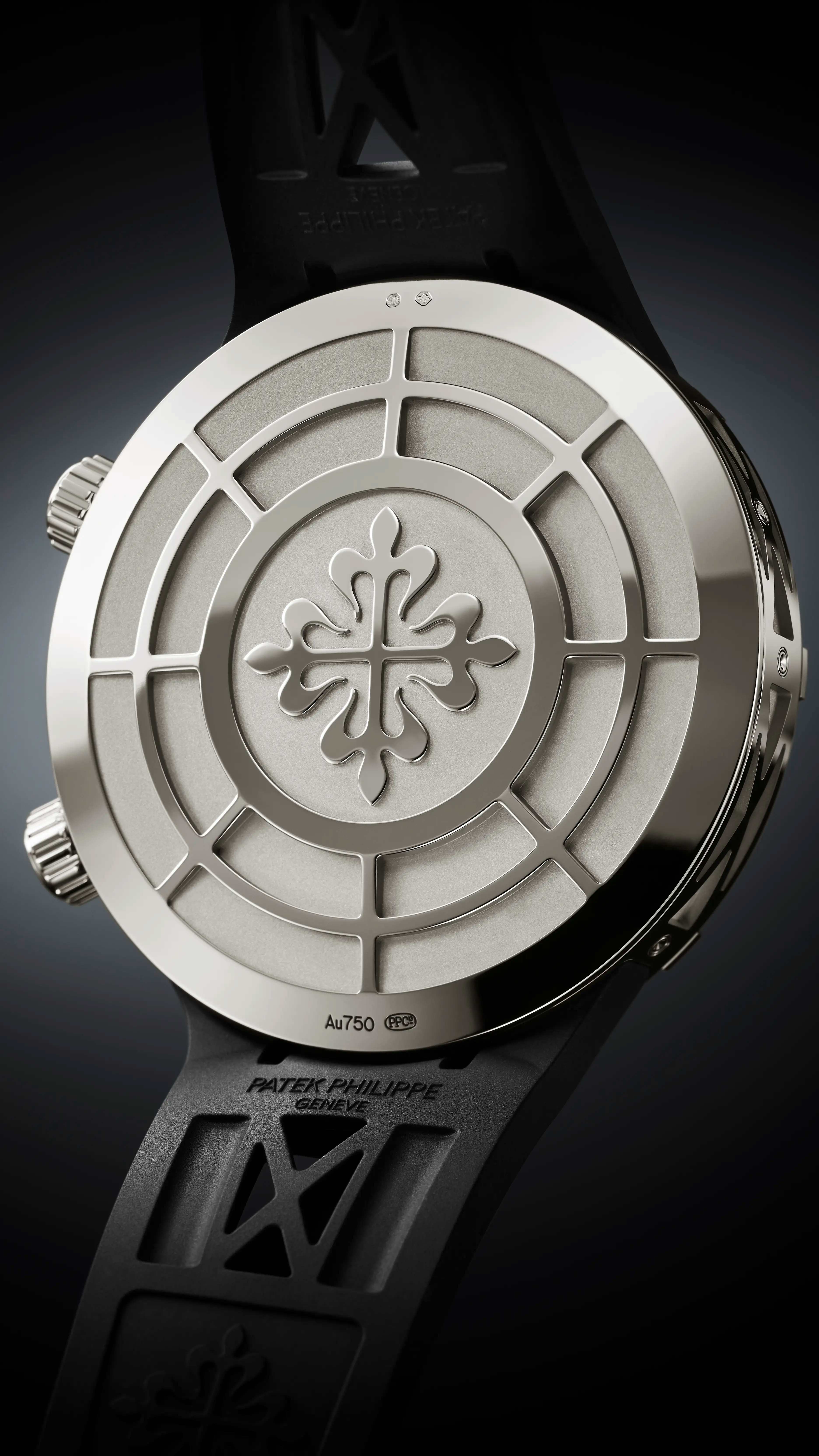 PP_6105G_001_DET_MOVEMENT_01