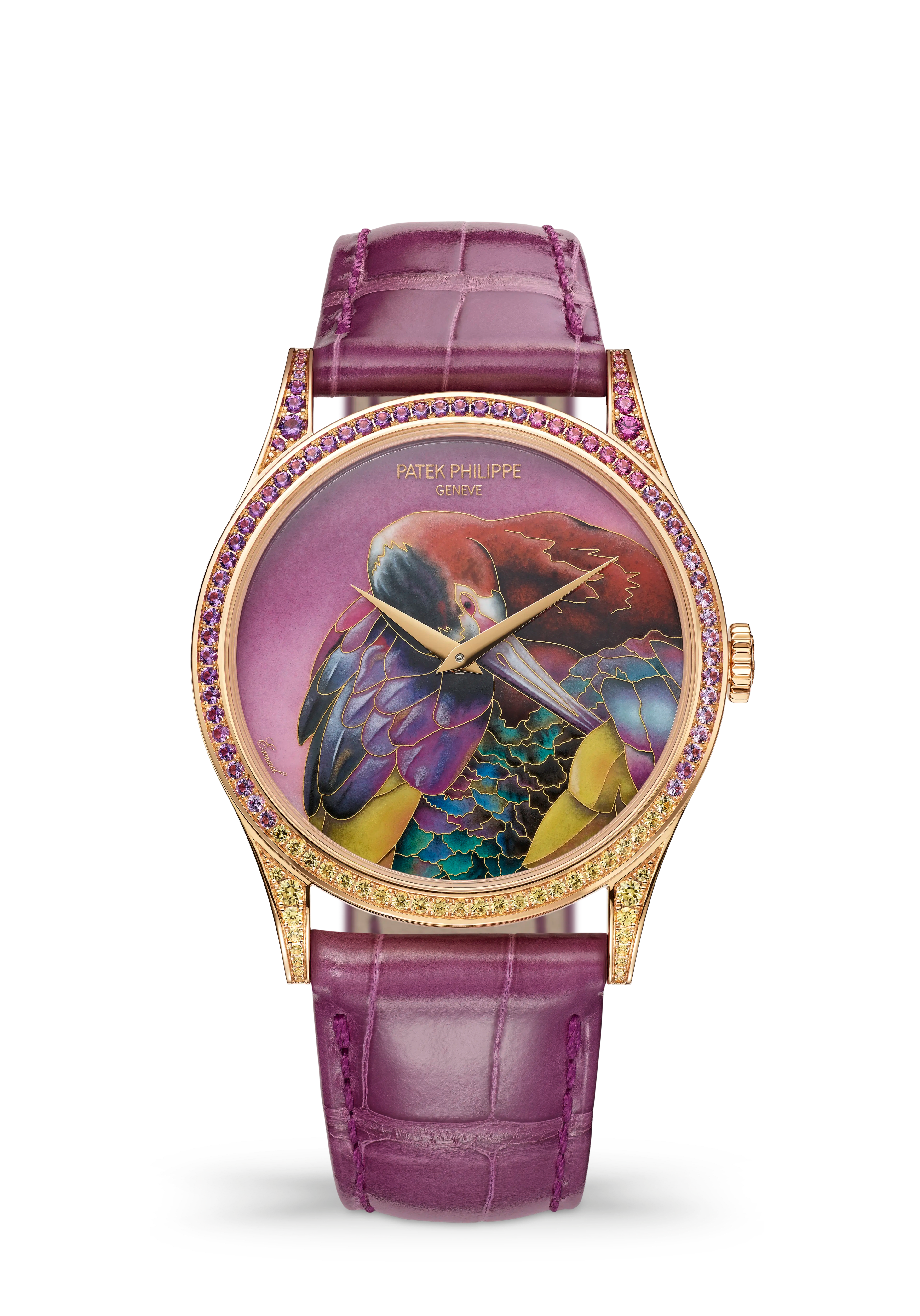 PP_5077_213R_001_SDT