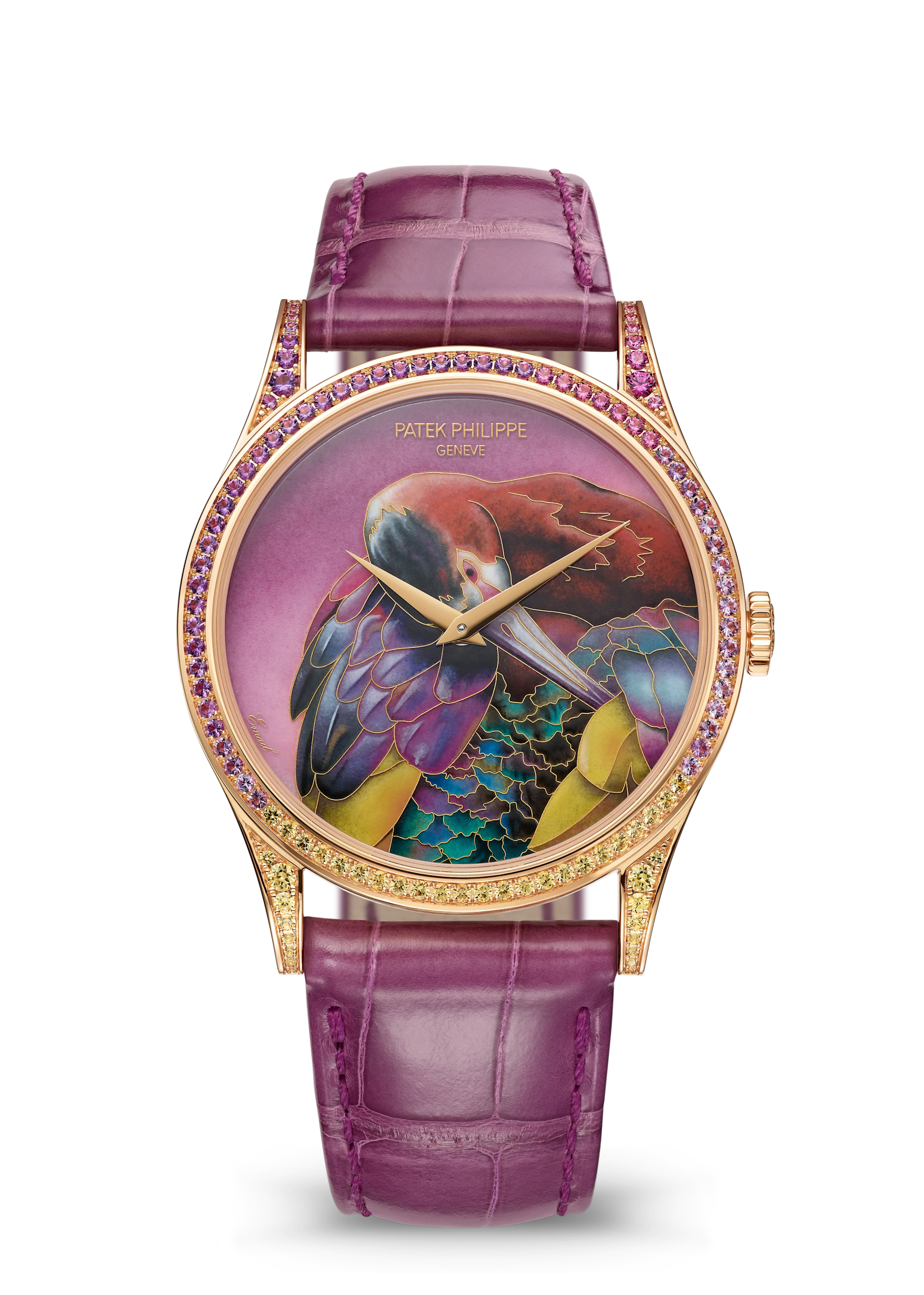 PP_5077_213R_001_SDT