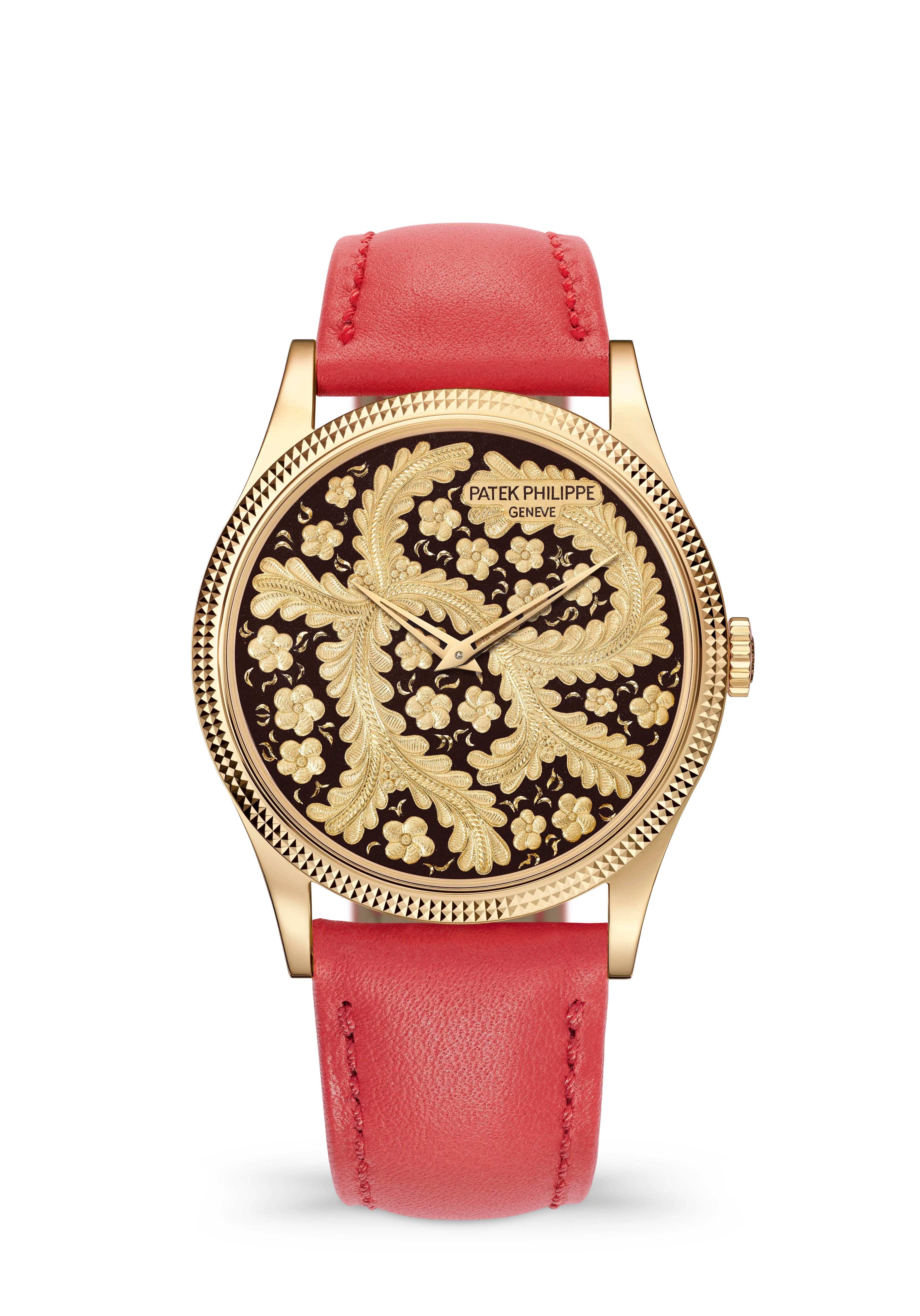 PP_5177J_001_SDT_BRAC1