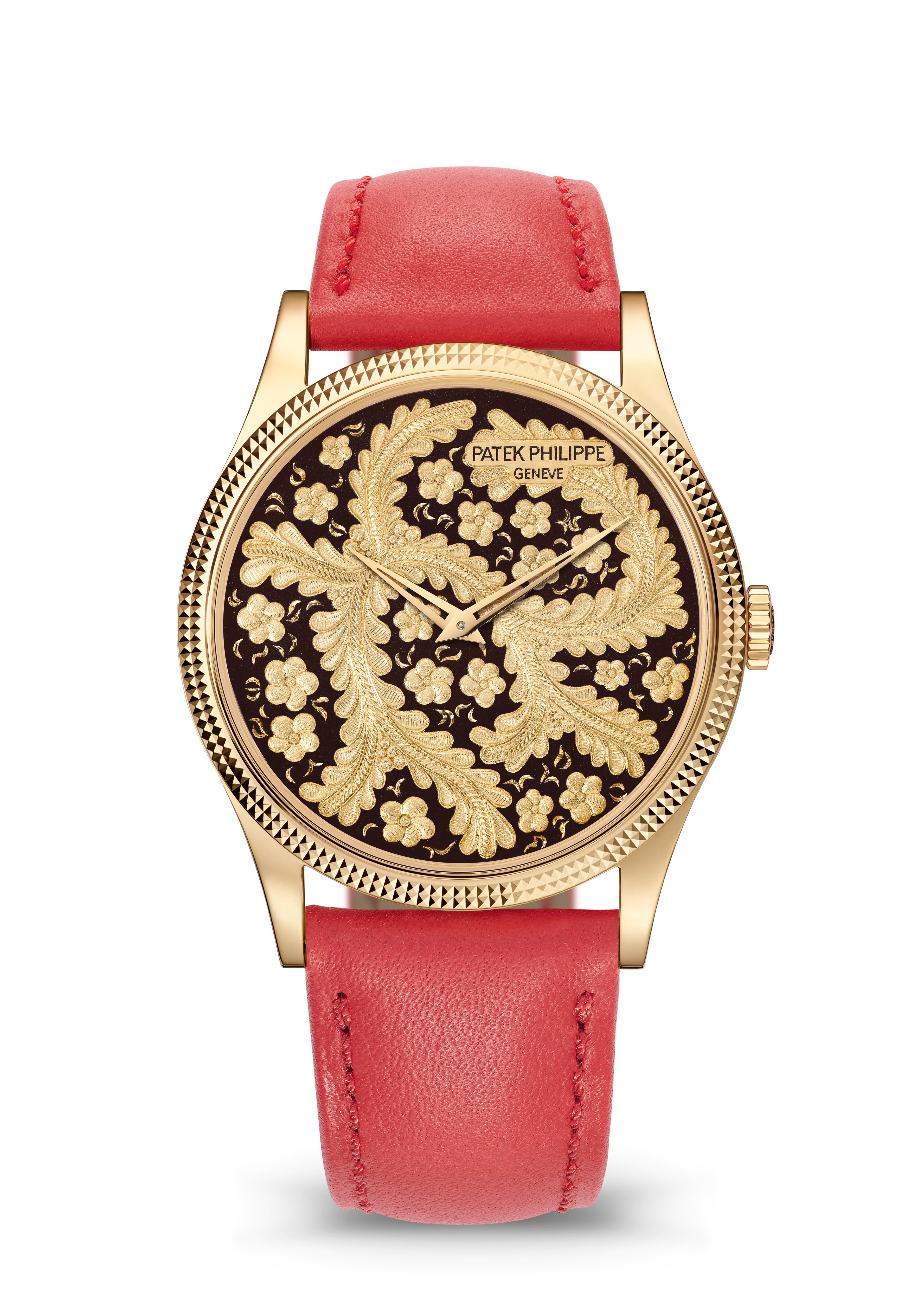 PP_5177J_001_SDT_BRAC1