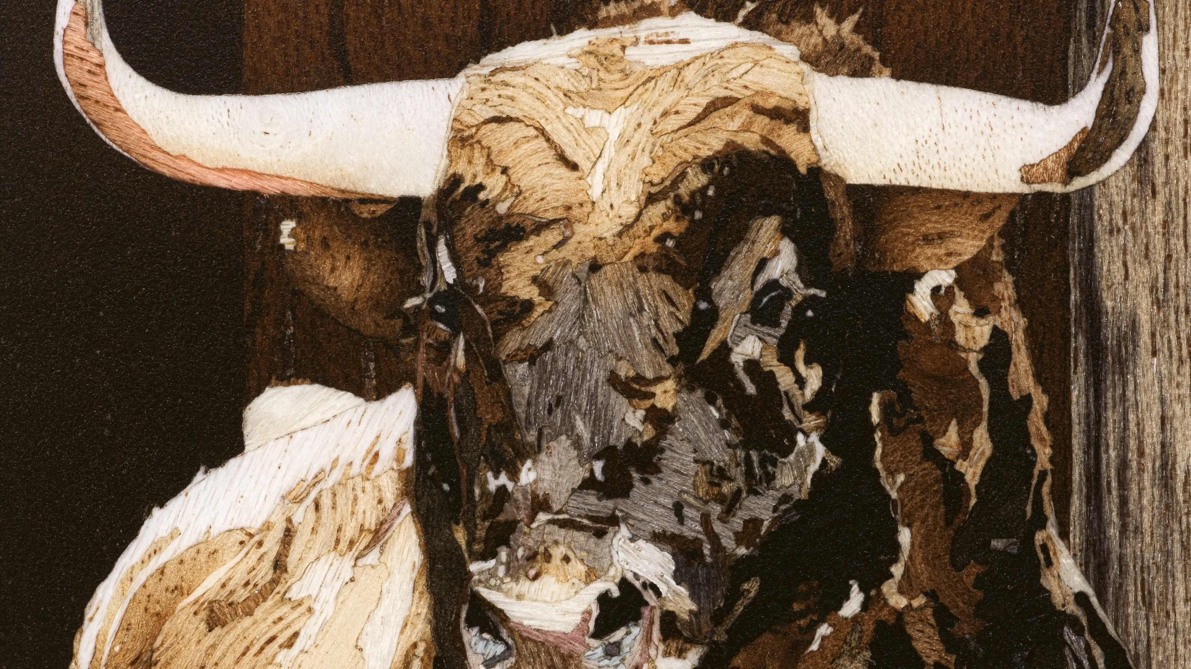 PP_995_152J_001_DET_HOR