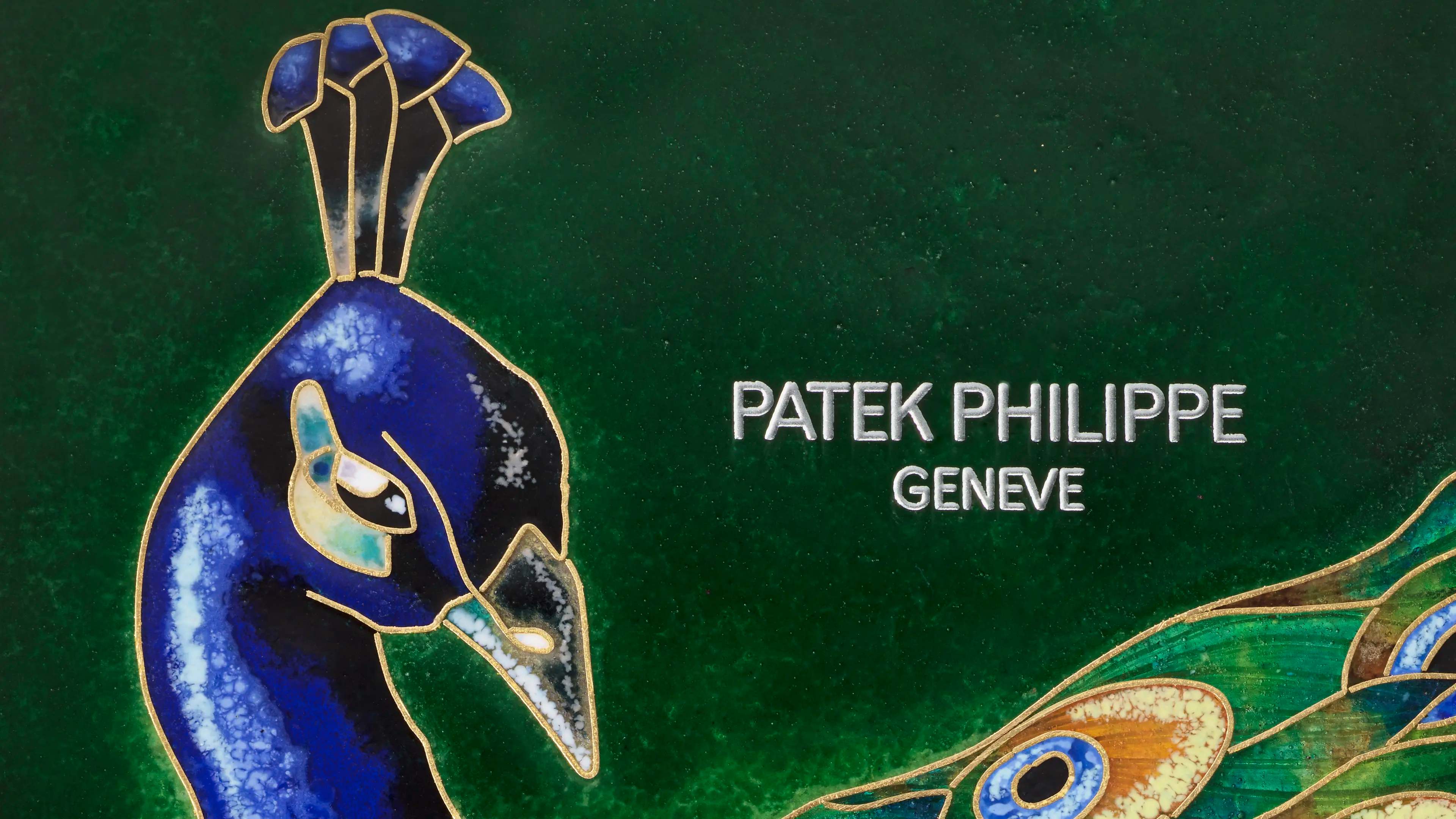 PP_5738_50G_041_DET_HOR