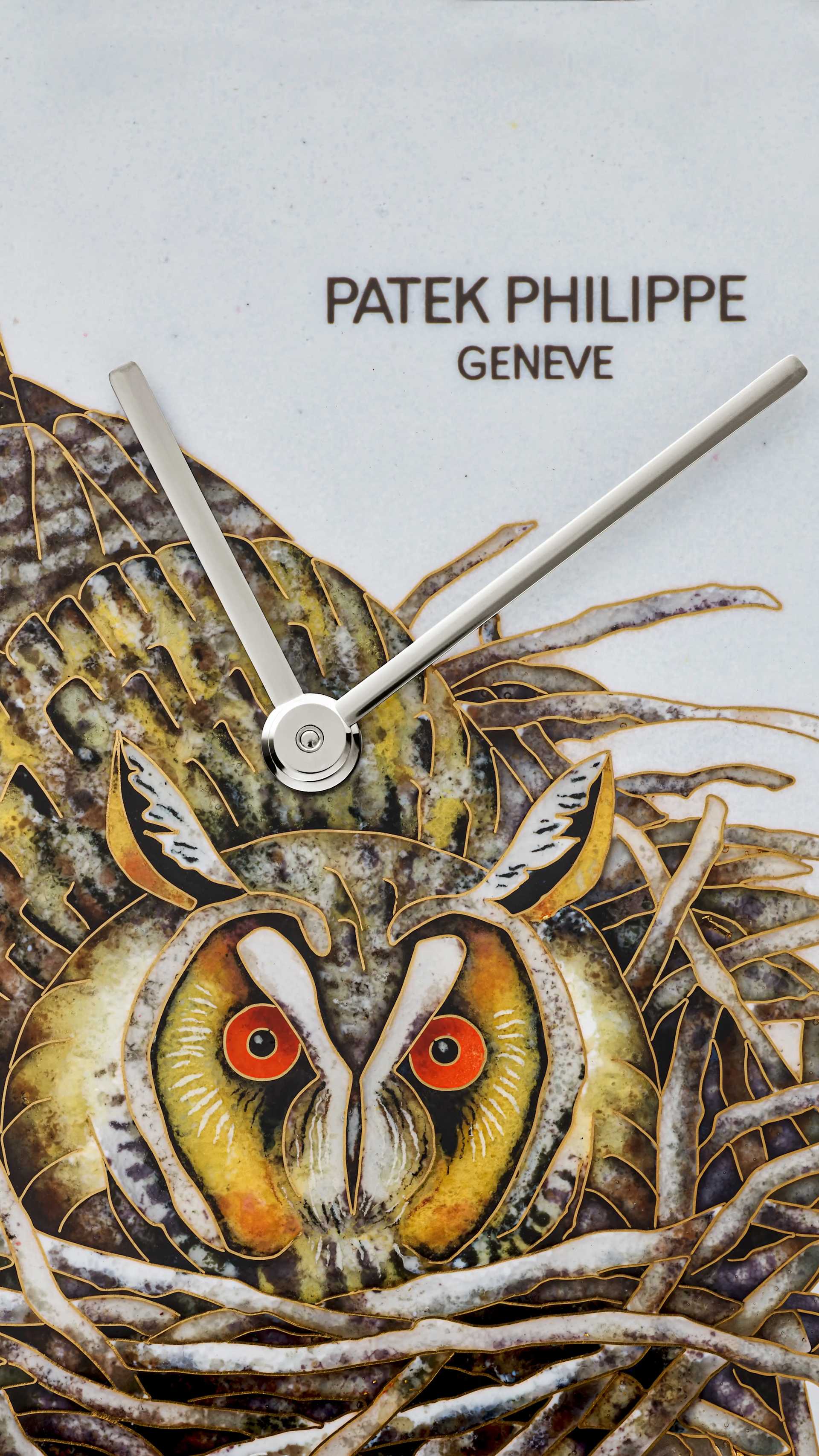 Rare Handcrafts ref. 5738/50G-049 | Patek Philippe
