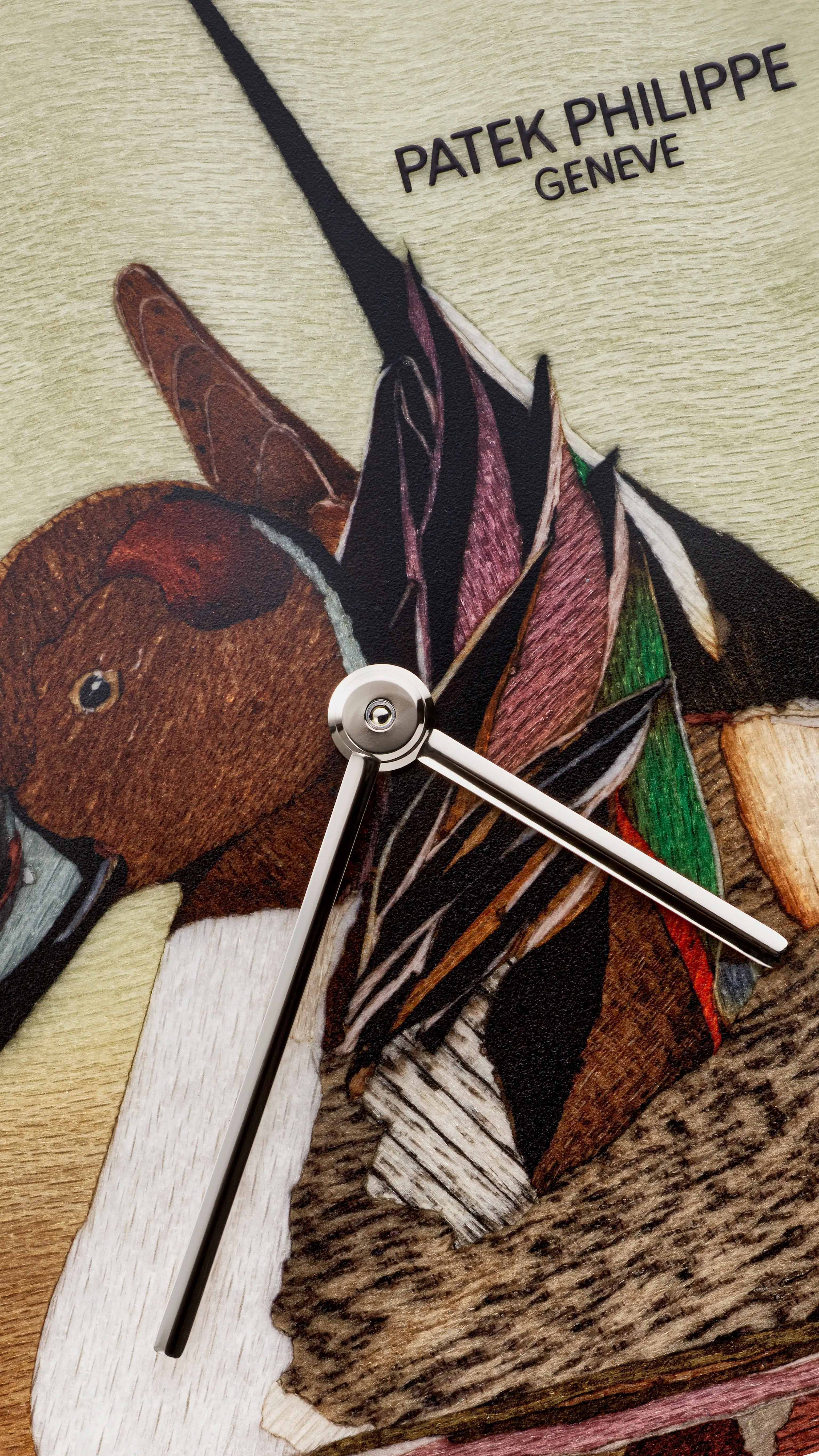 Rare Handcrafts ref. 5738/50G-047 | Patek Philippe