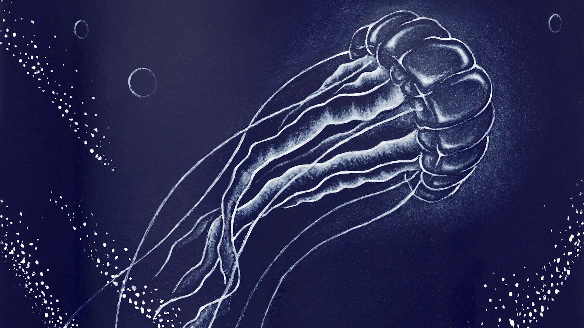 PP_20209M_001_DET_HOR