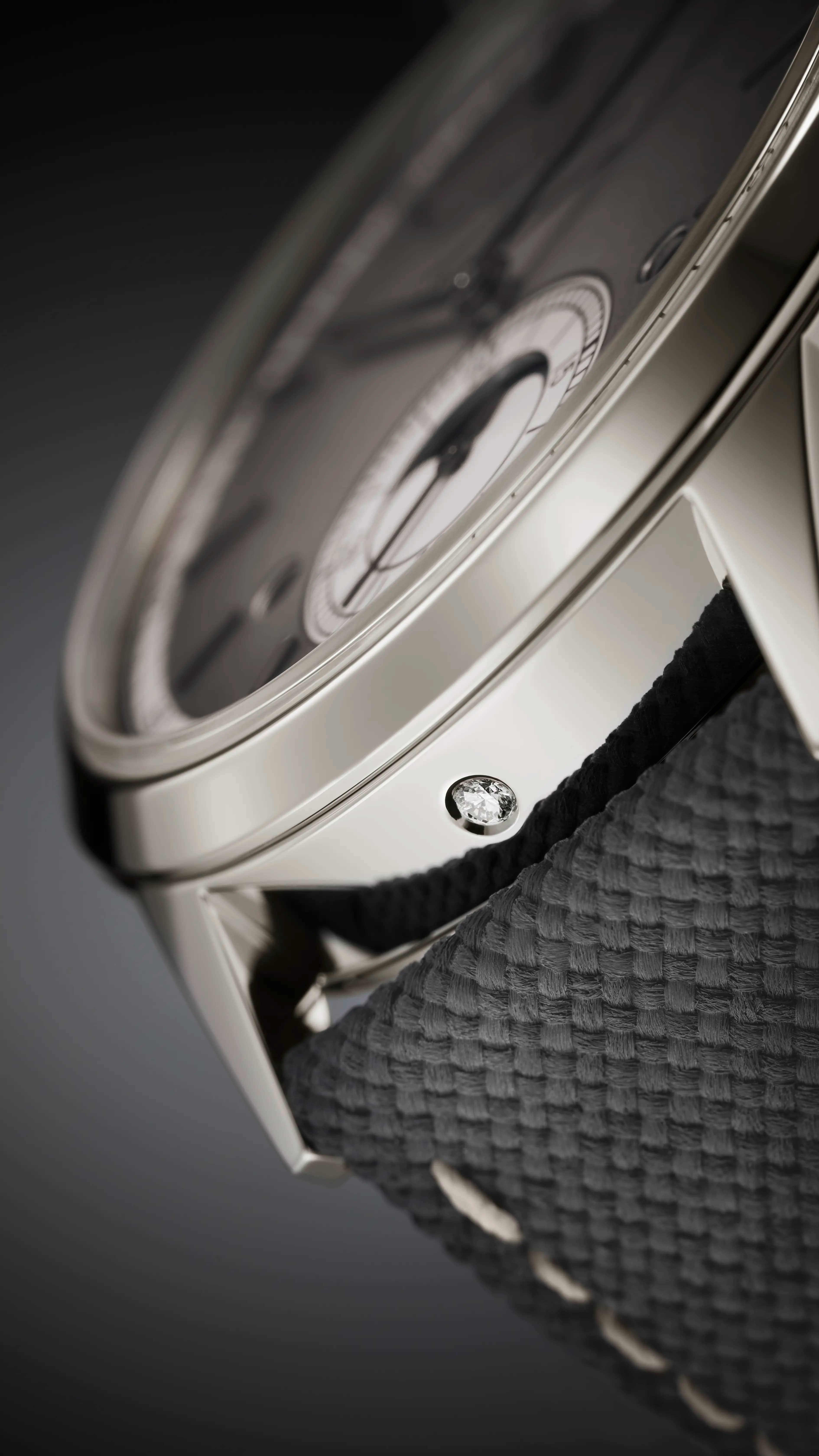 PP_5236P_011_DET_CASE_01