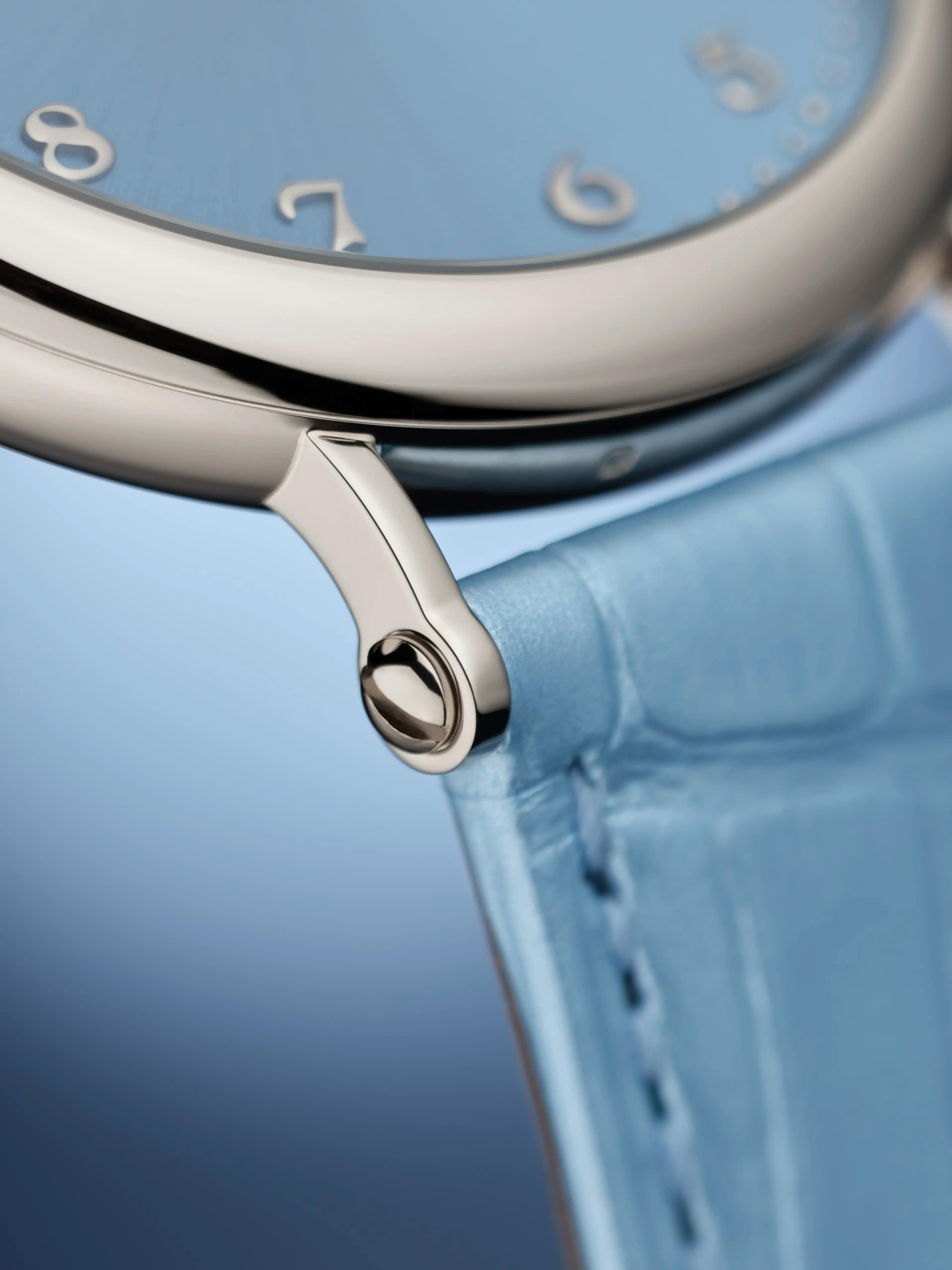 PP_7200_50G_012_DET_BRACELET_CASE_01