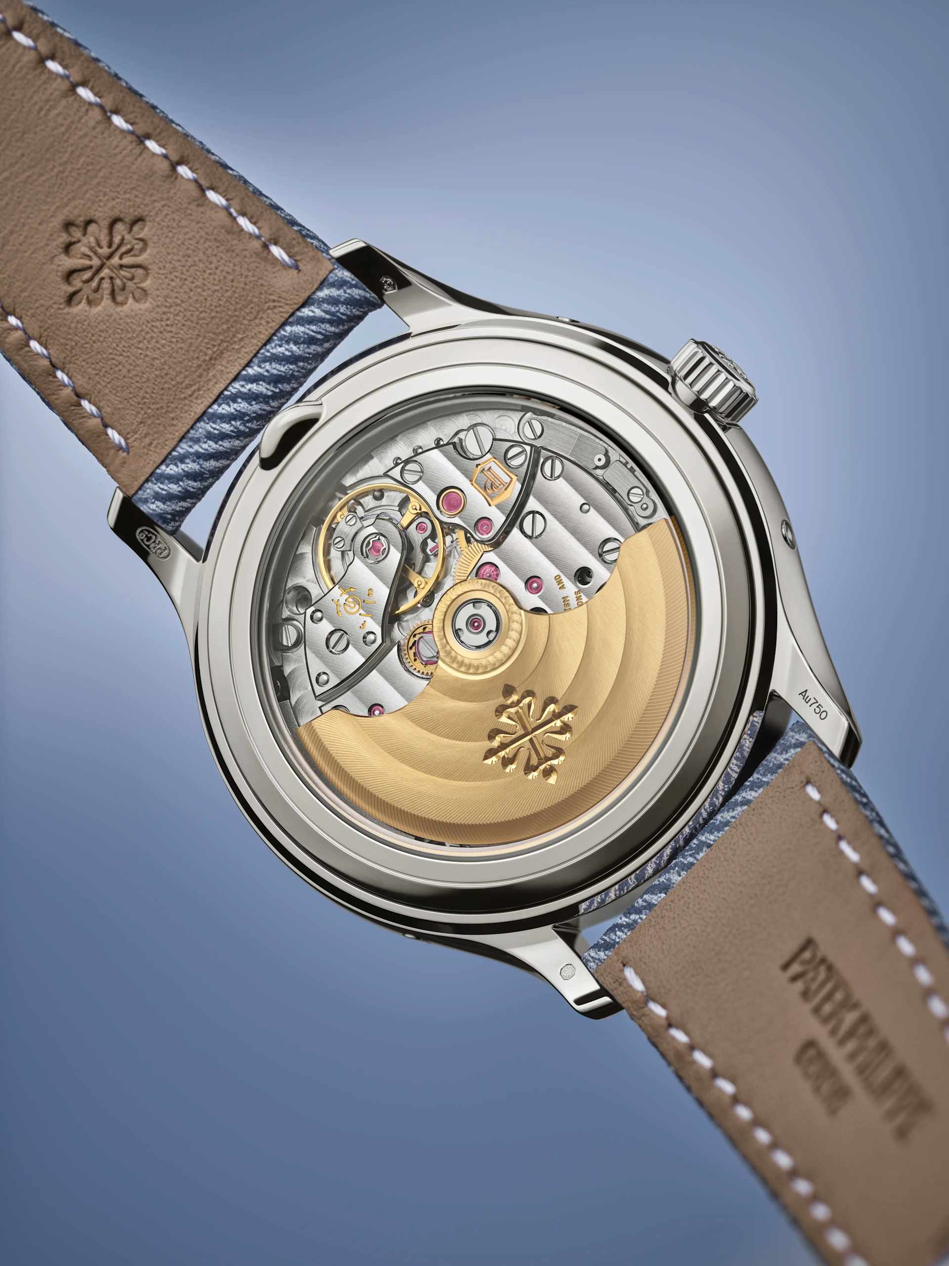 PP_4946G_001_DET_MOVEMENT_01