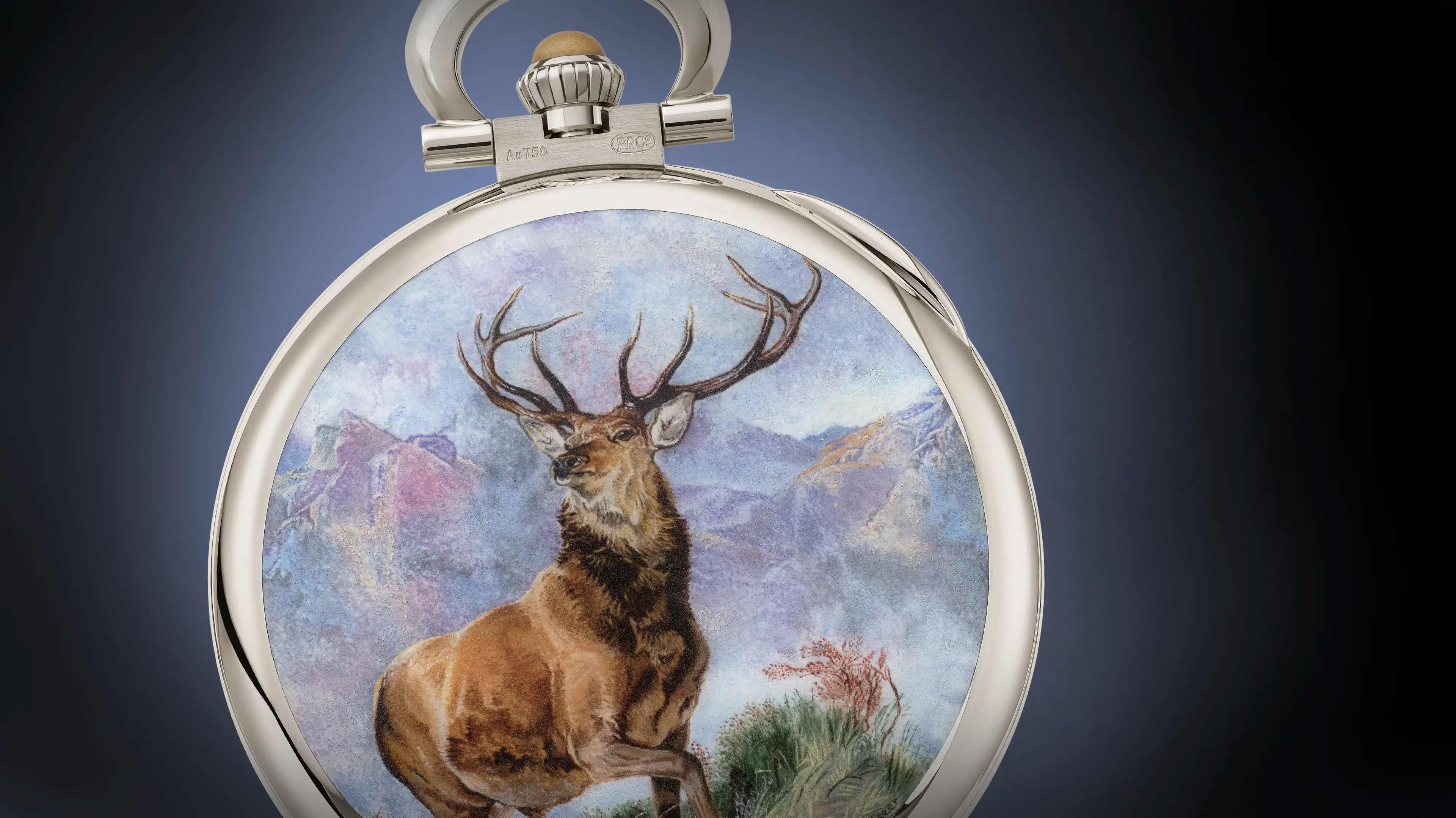 PP_992_197G_001_16_9_banner