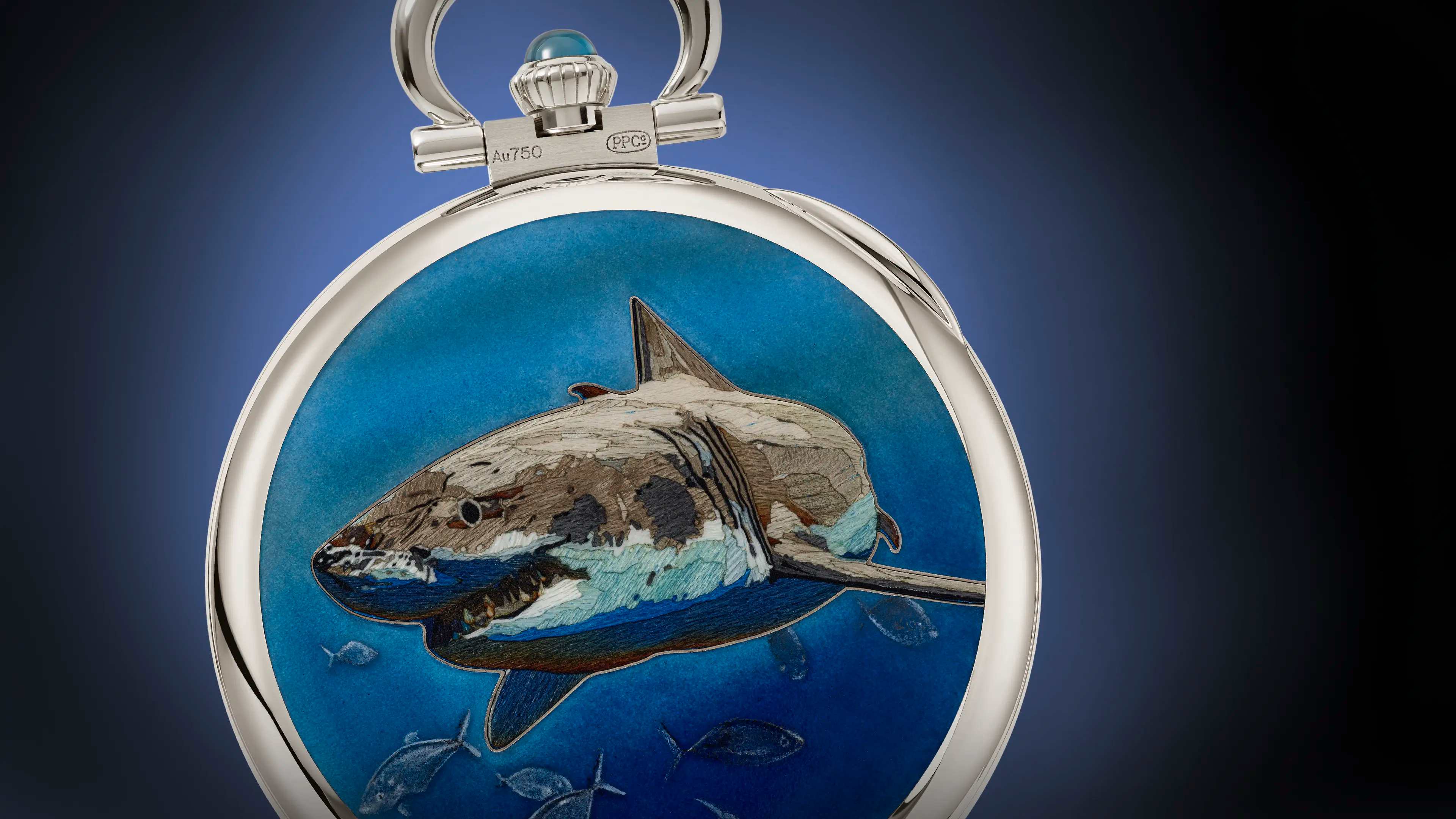 PP_995_141G_001_16_9_banner