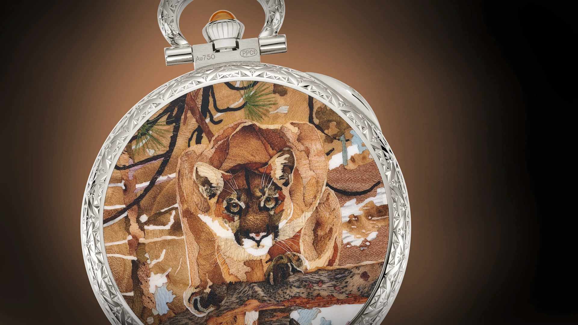 珍稀工艺Ref. 995/150G-001 | Patek Philippe