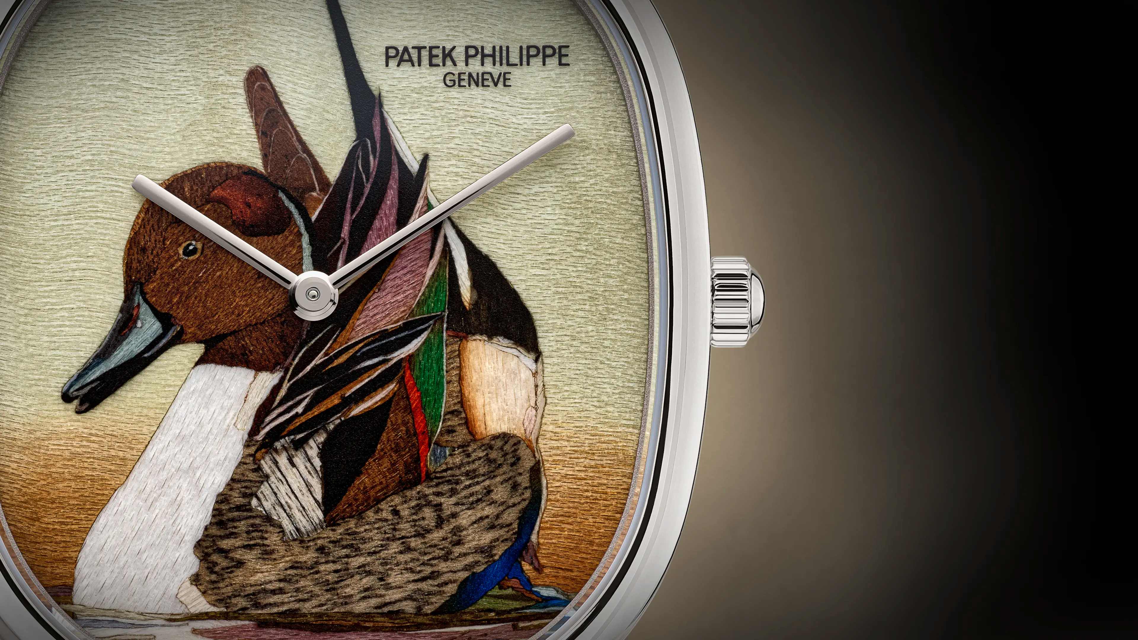 Rare Handcrafts ref. 5738/50G-047 | Patek Philippe