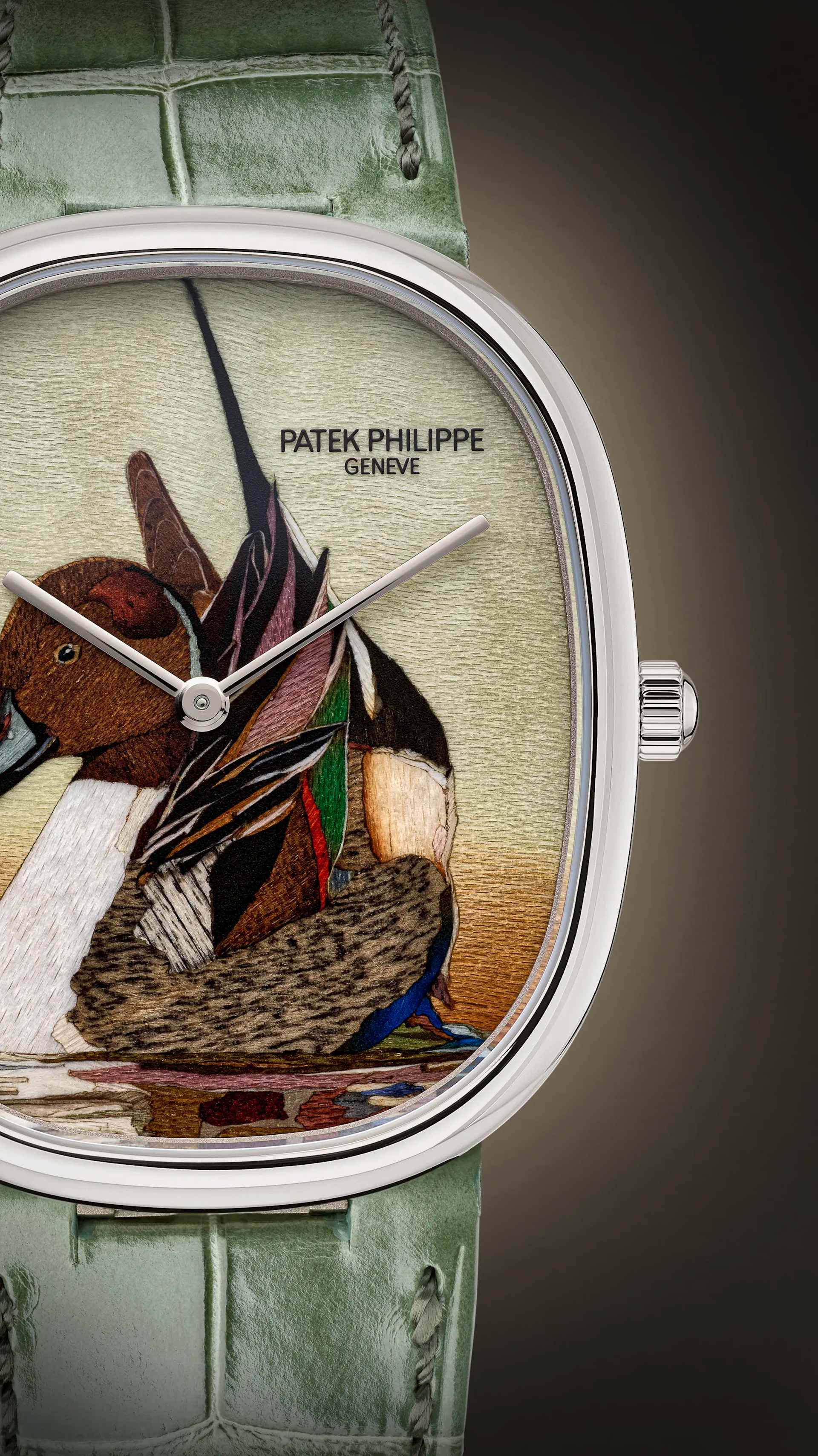 Rare Handcrafts ref. 5738/50G-047 | Patek Philippe
