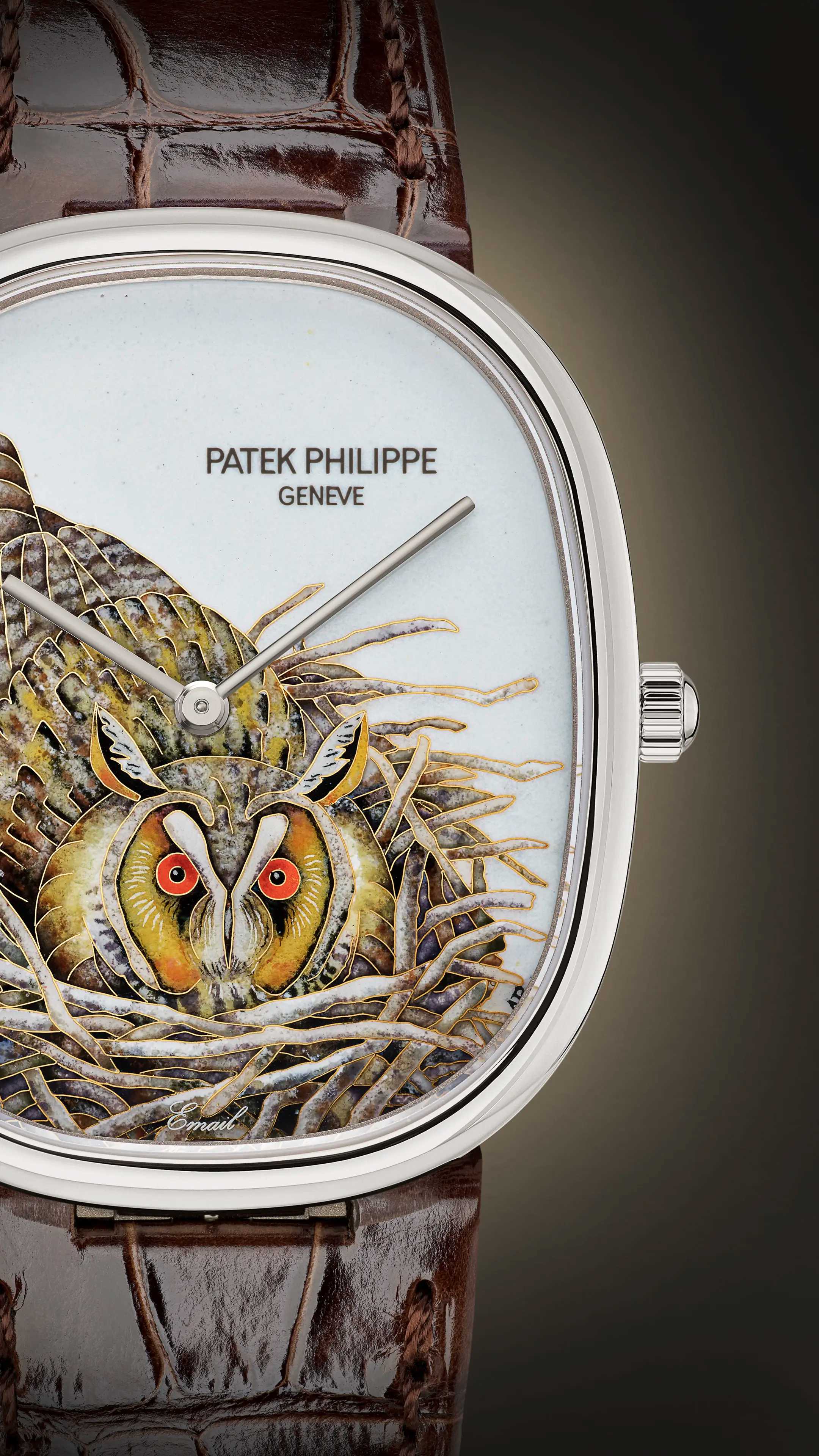 Rare Handcrafts ref. 5738/50G-049 | Patek Philippe