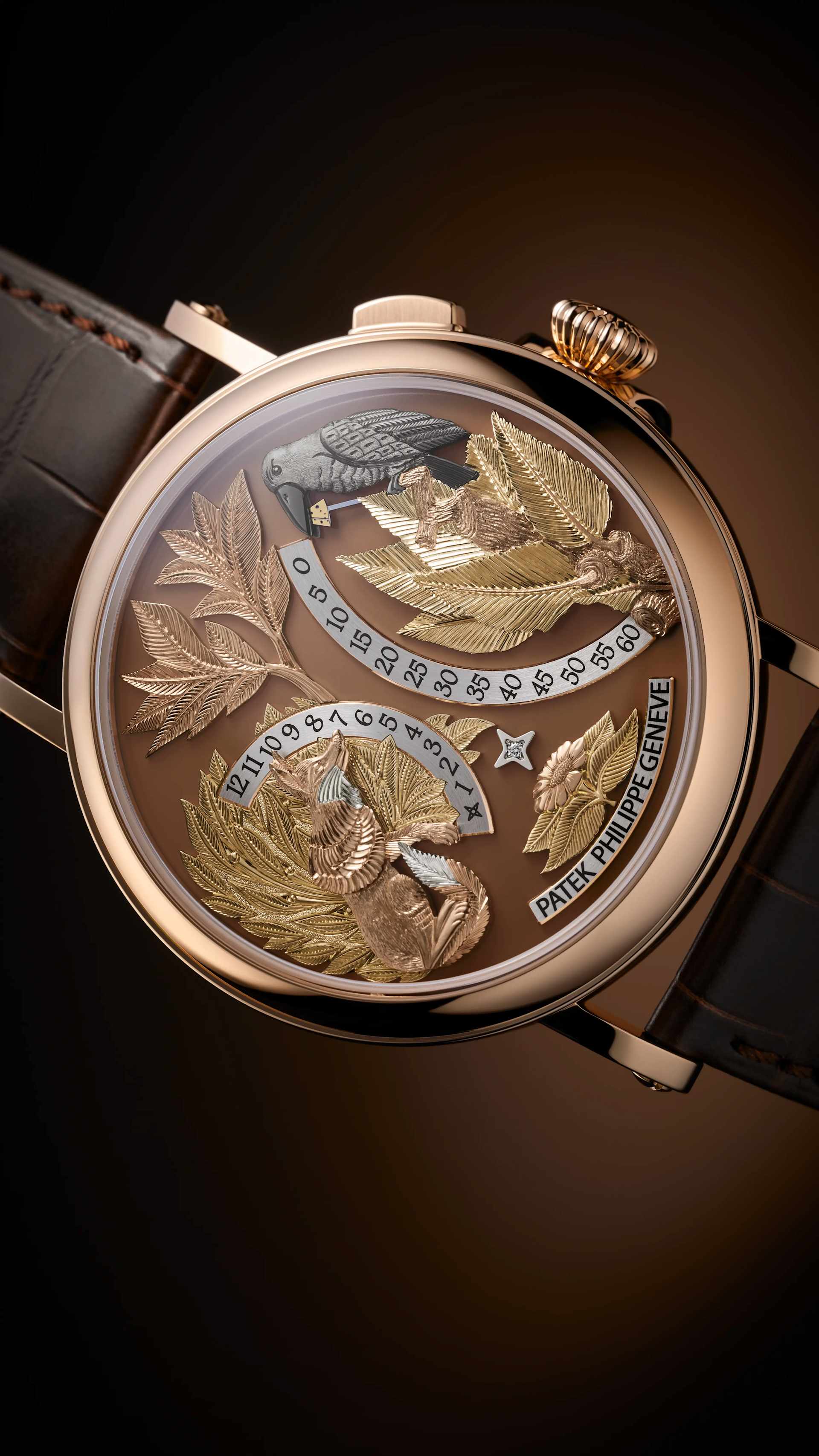 PP_5249R_001_DET_CASE_DIAL_01