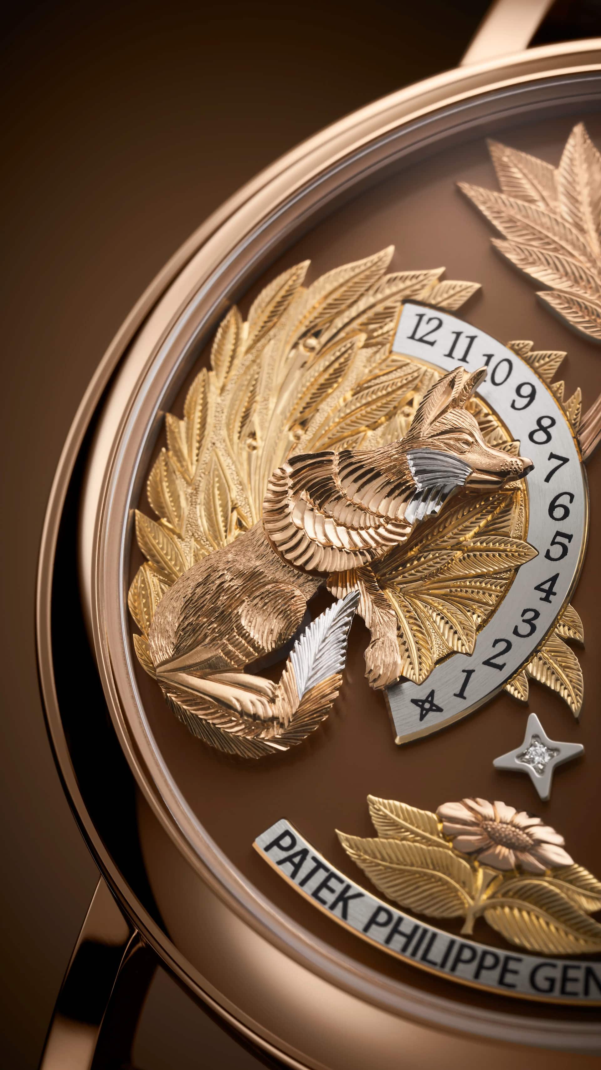 PP_5249R_001_DET_DIAL_01