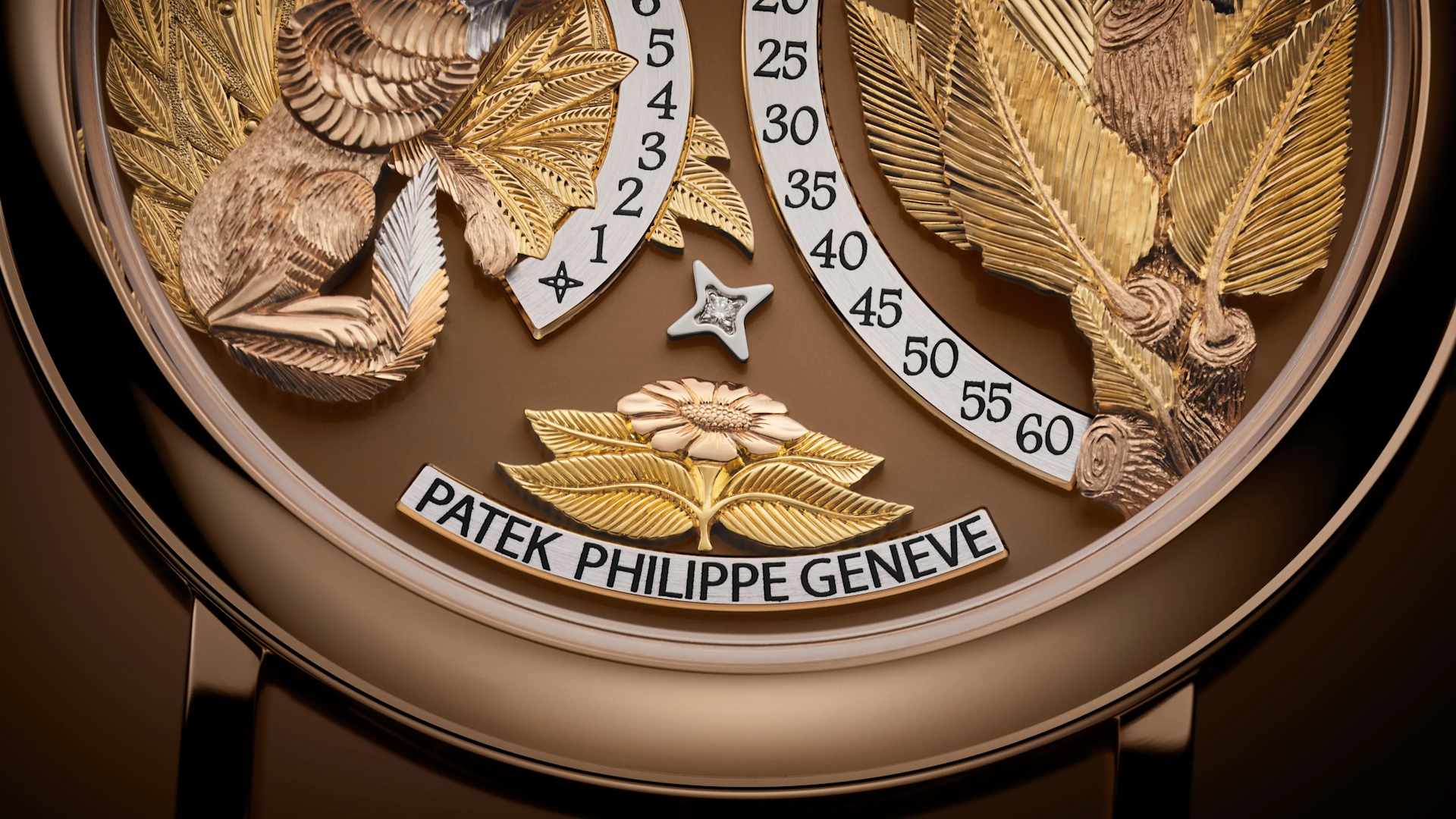 PP_5249R_001_DET_DIAL_06