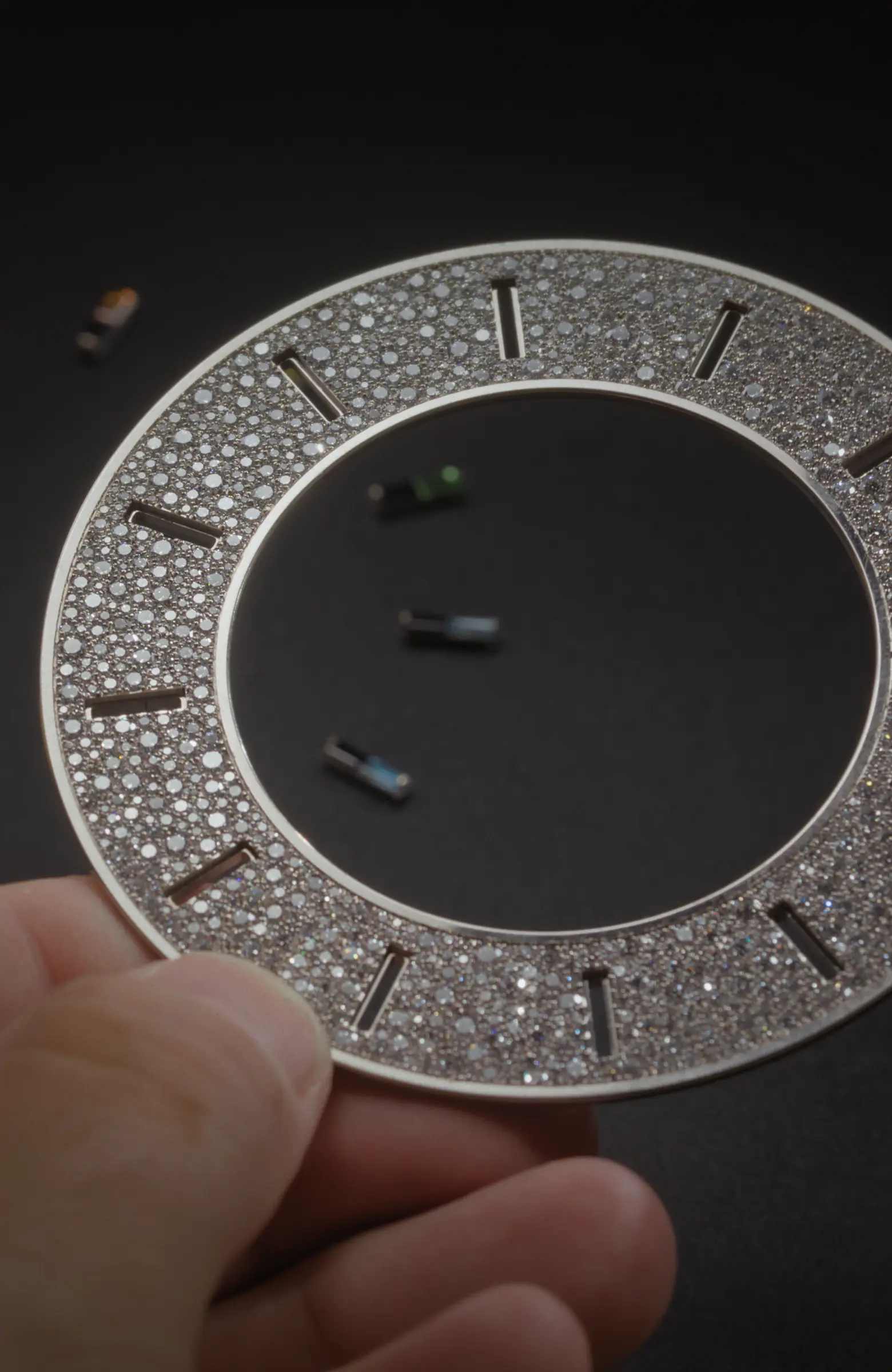 PP_savoir-faire_13-20_22000M_001_Macaws_gemsetting_cover