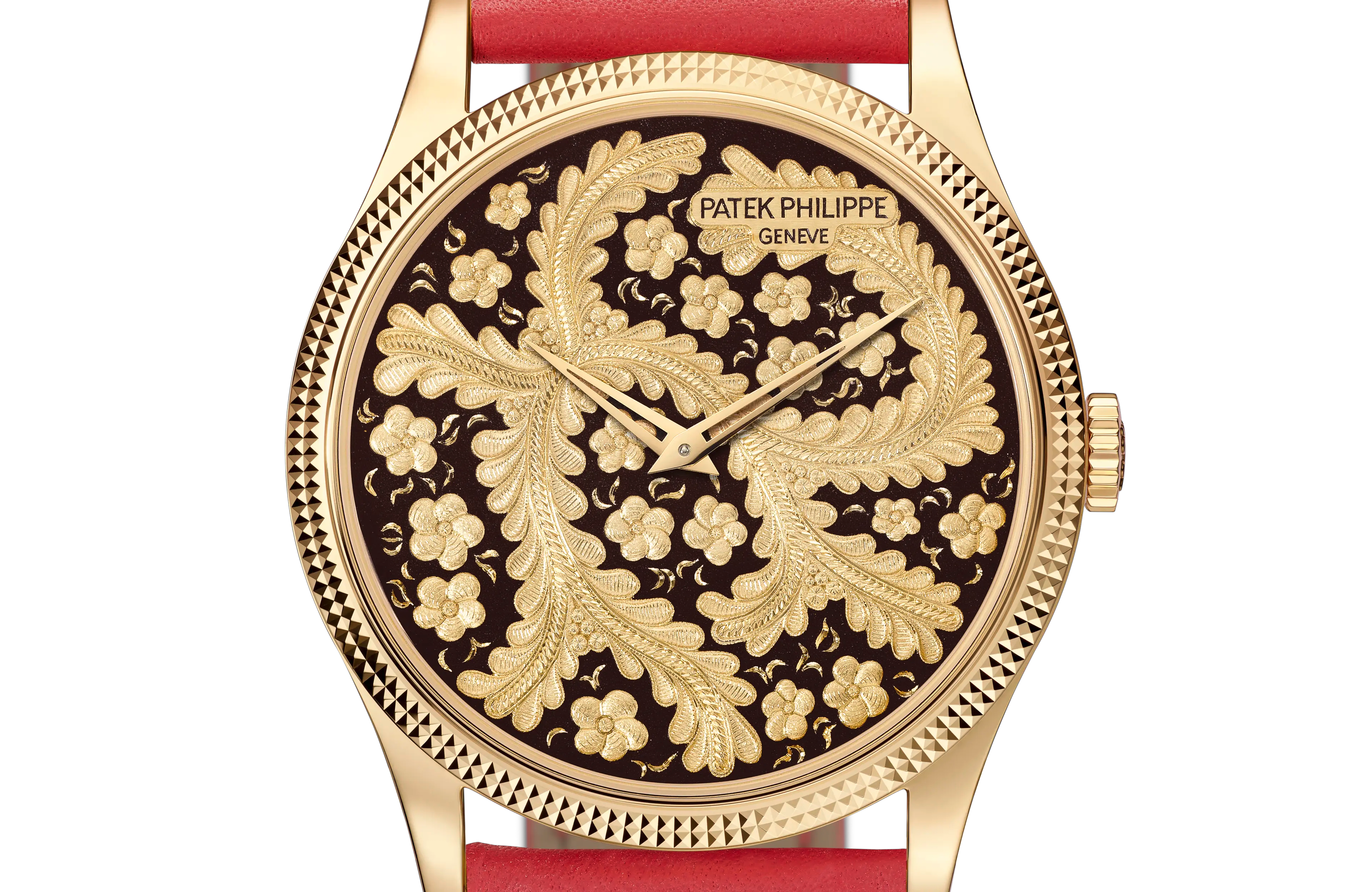 PP_5177J_001_SDT_BRAC1