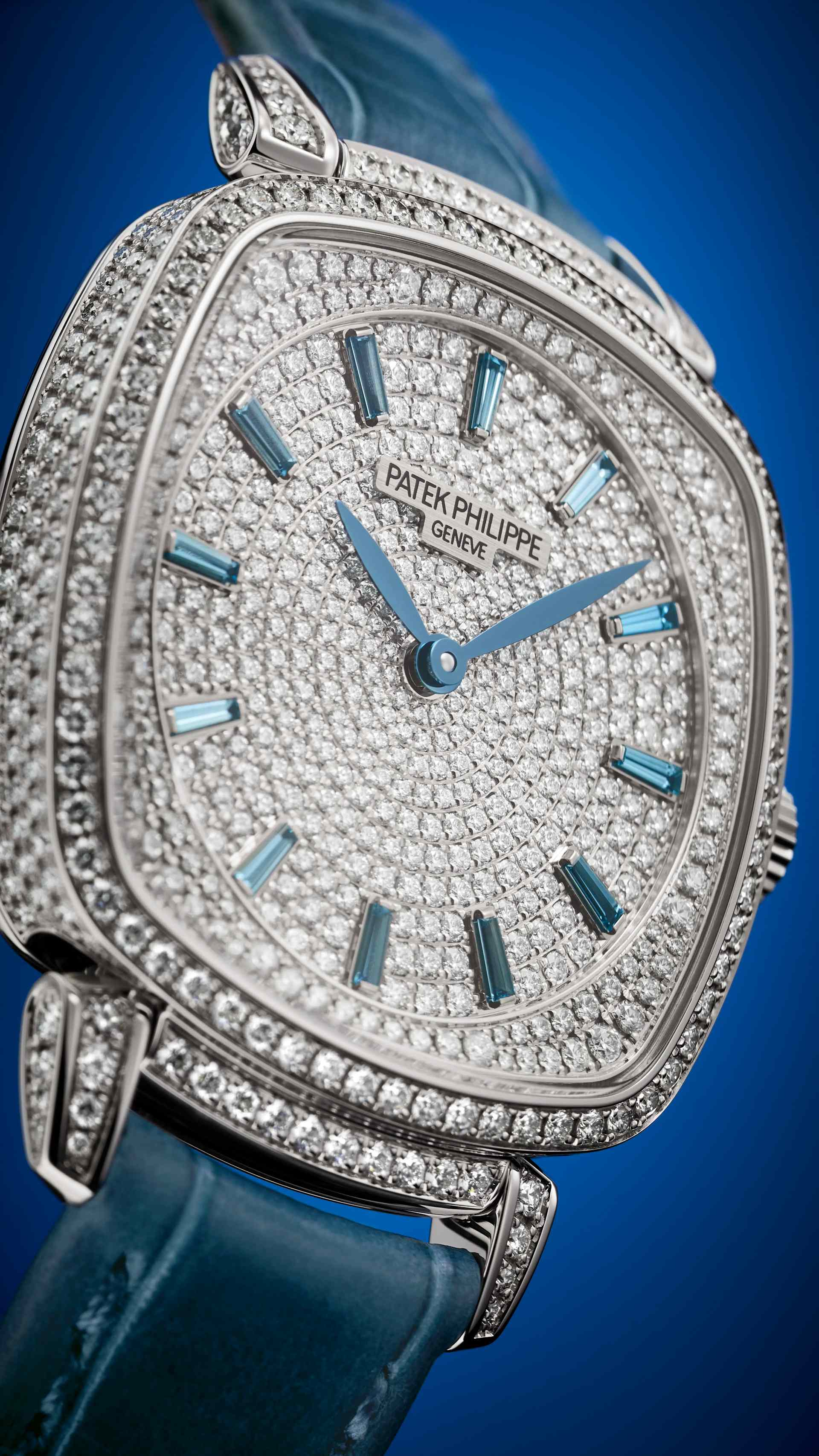 PP_7043_250G_001_DET_CASE_DIAL_01