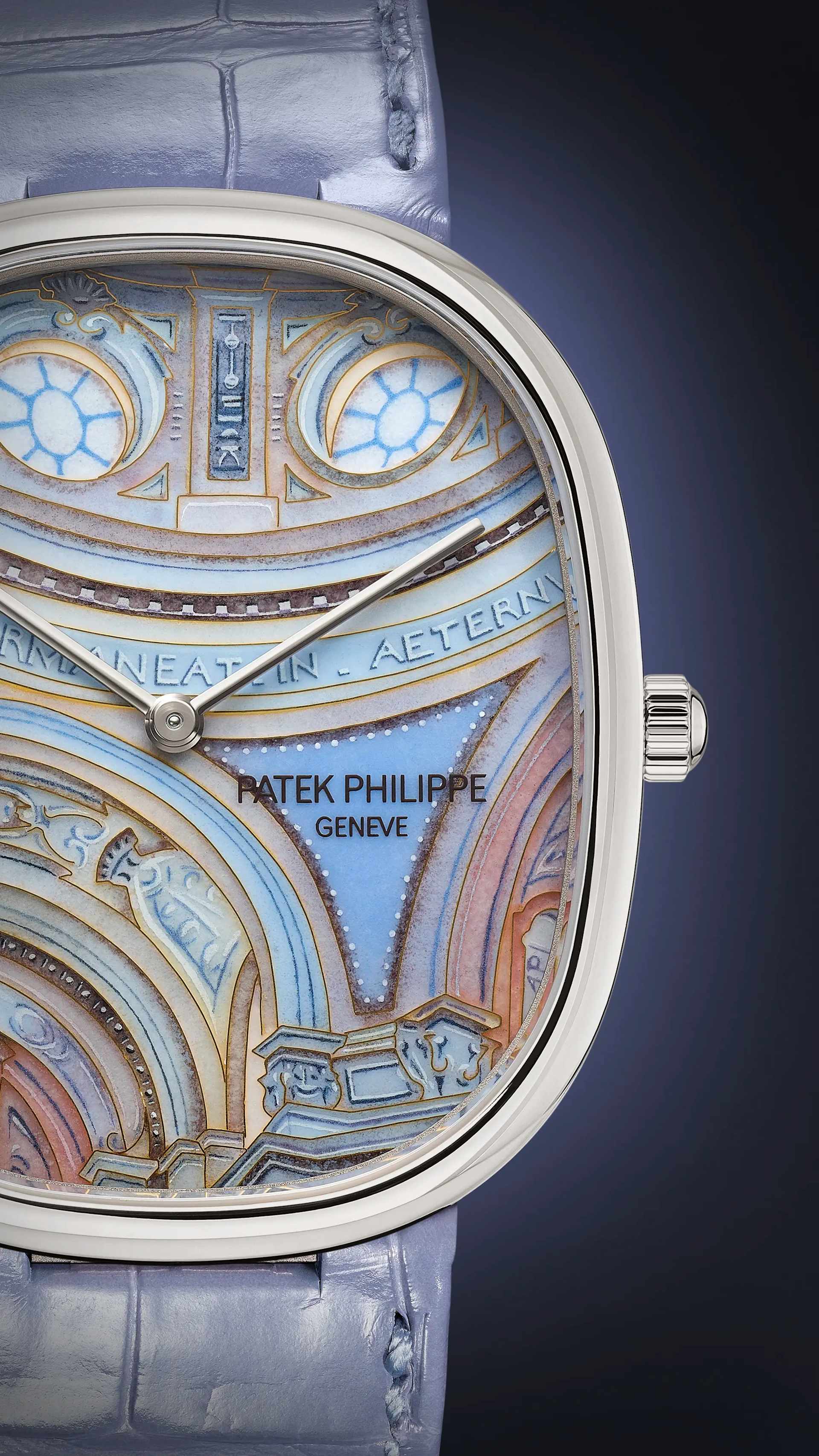 Rare Handcrafts ref. 5738/50G-050 | Patek Philippe